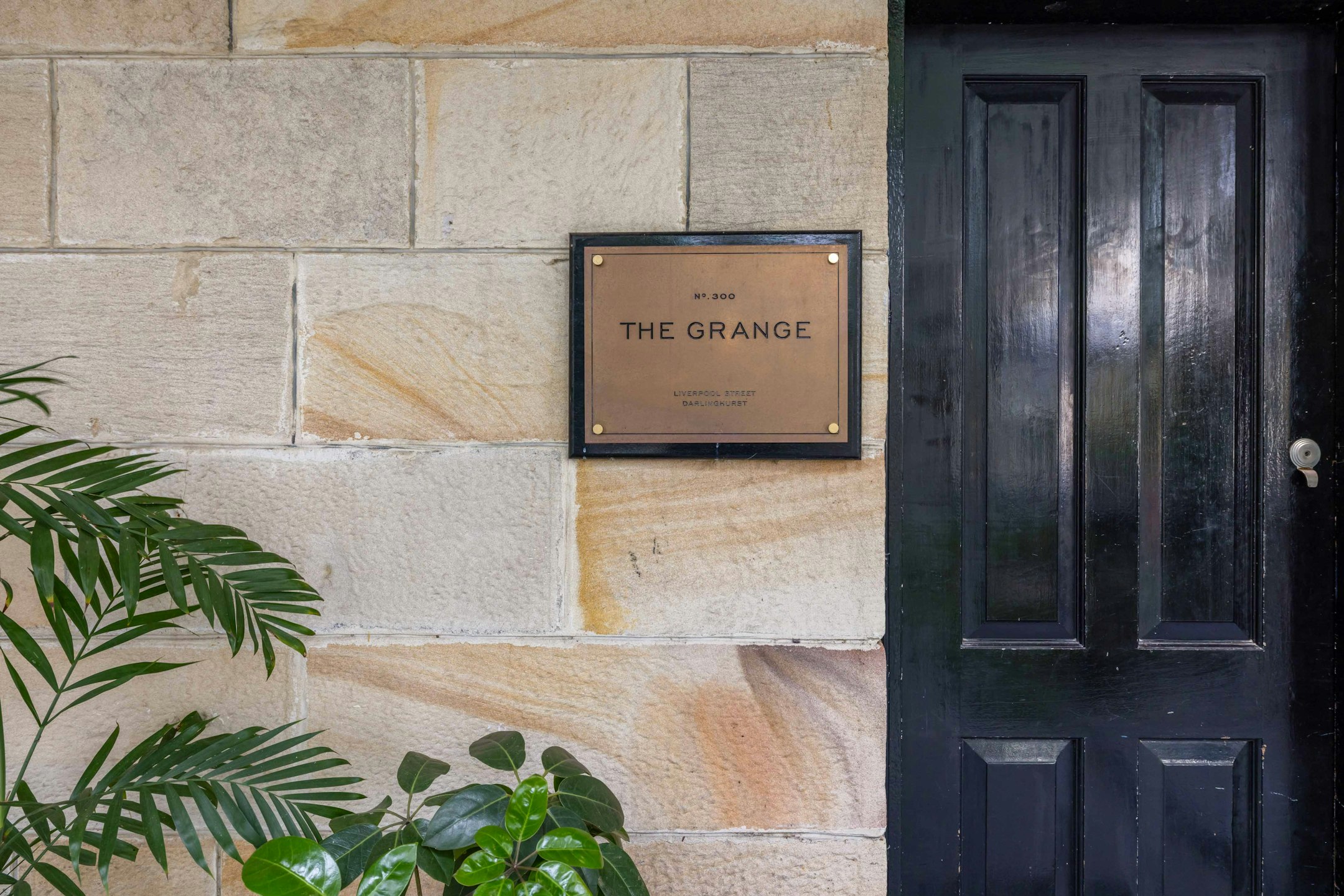 plaque