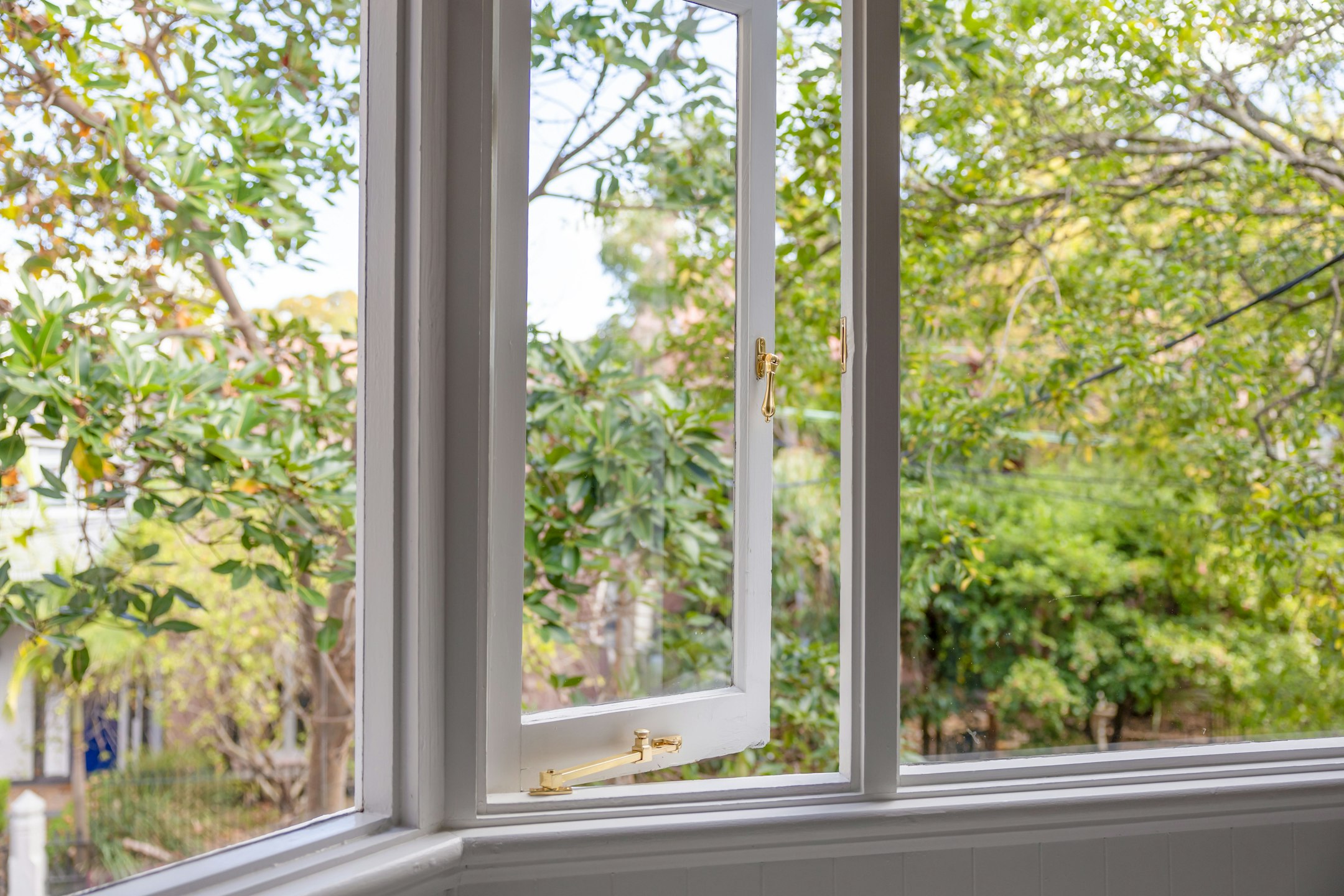 window