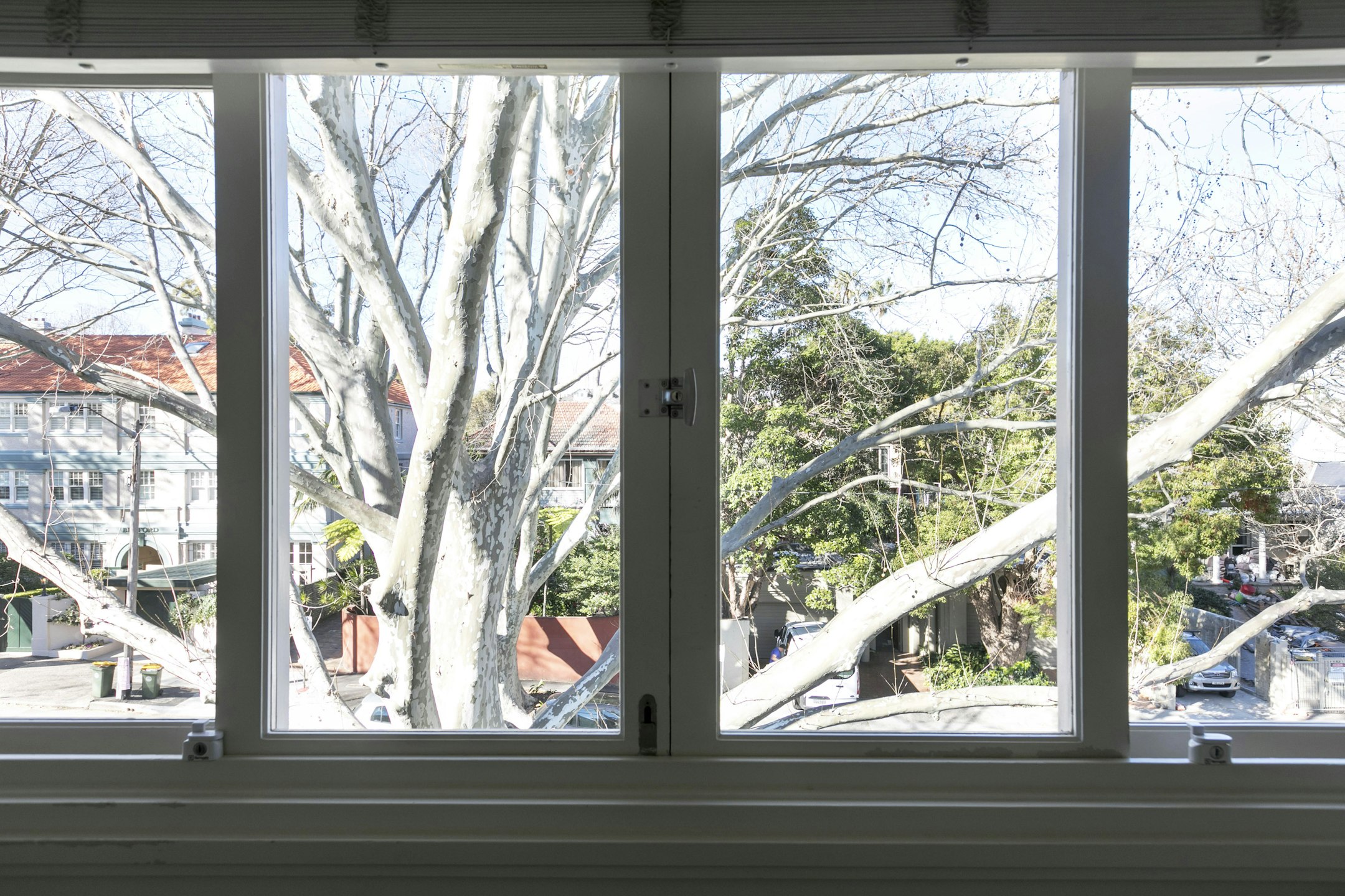 window