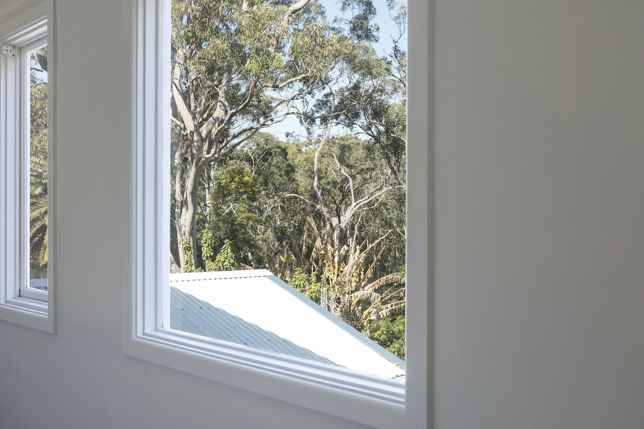 window