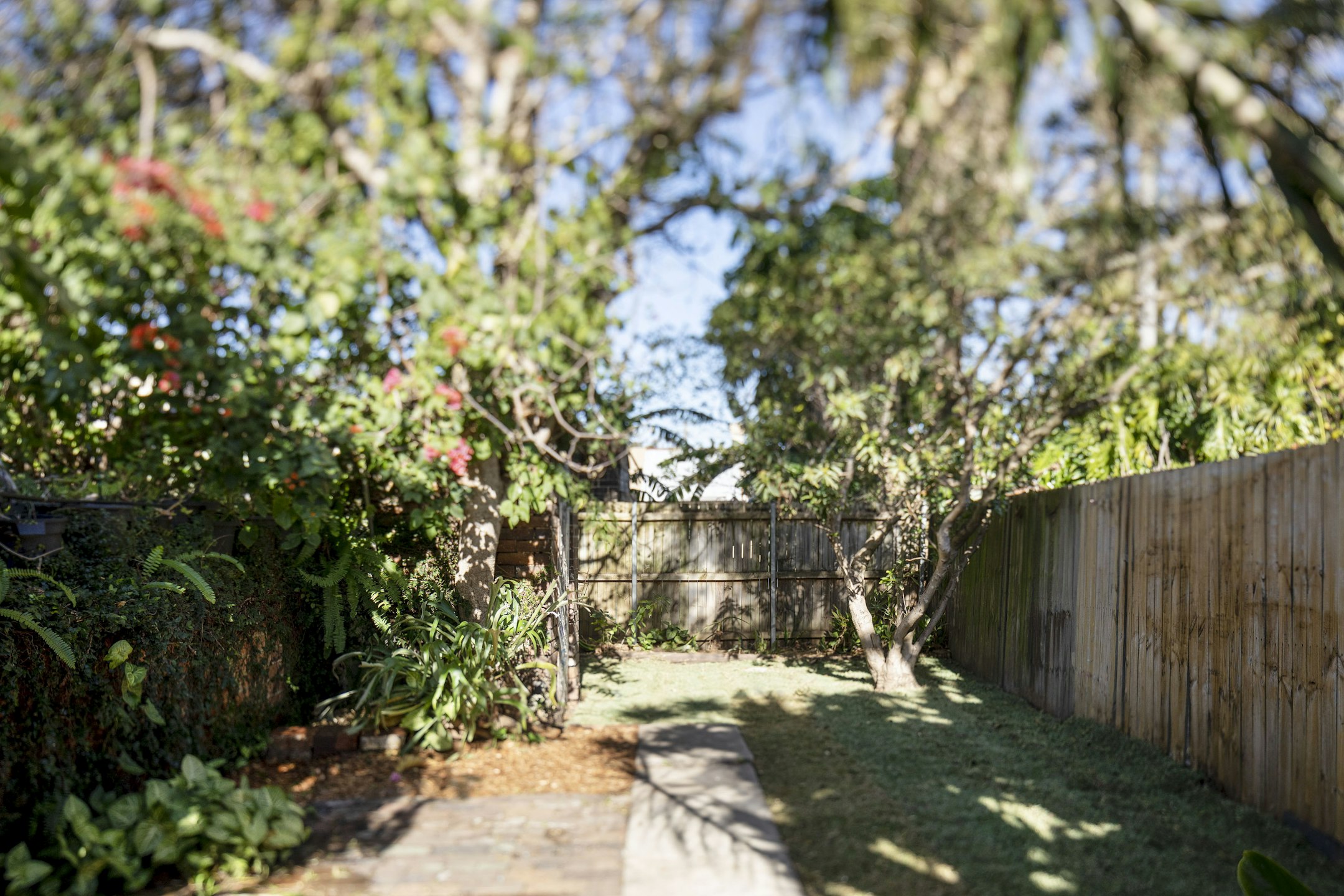 garden