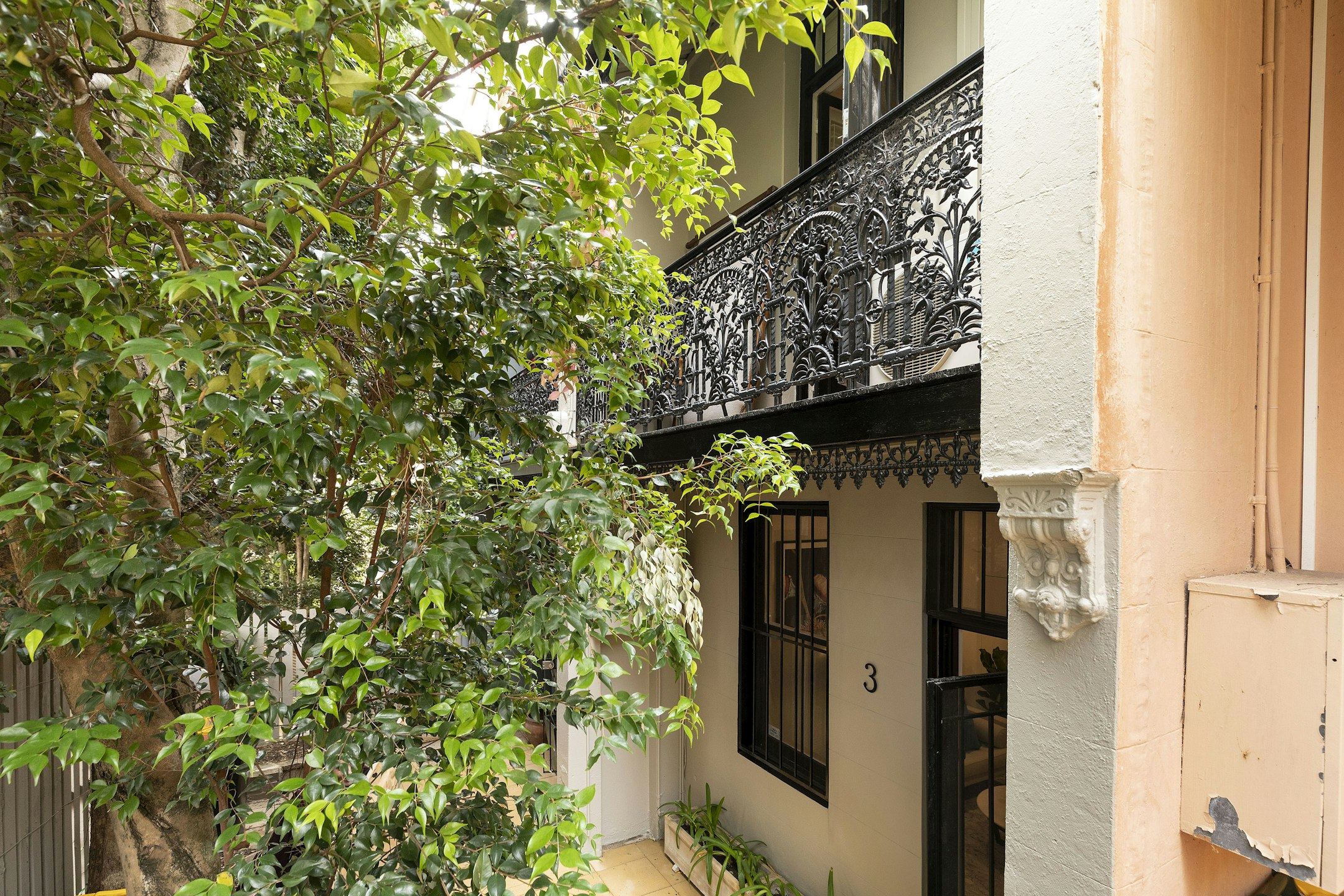 garden