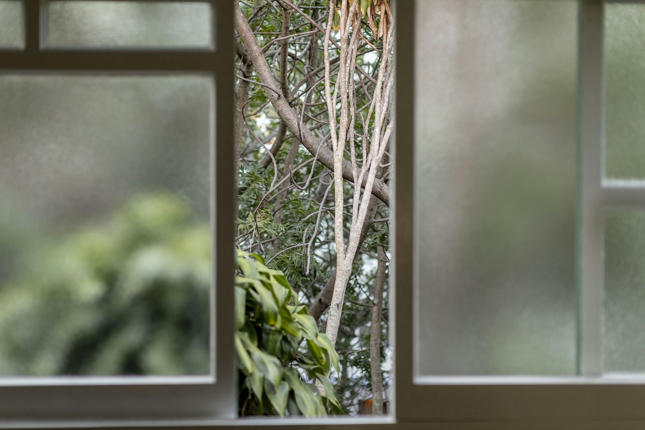 window