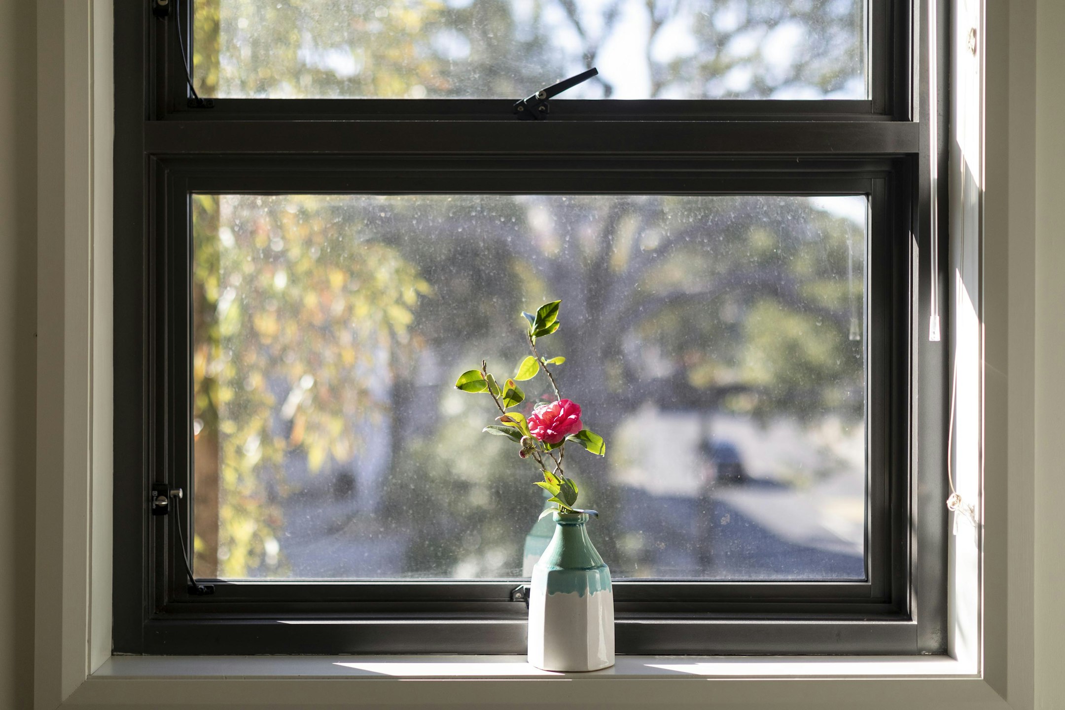 window