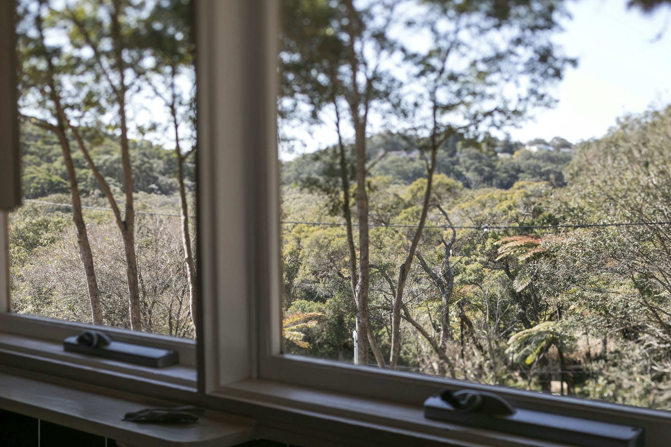 window