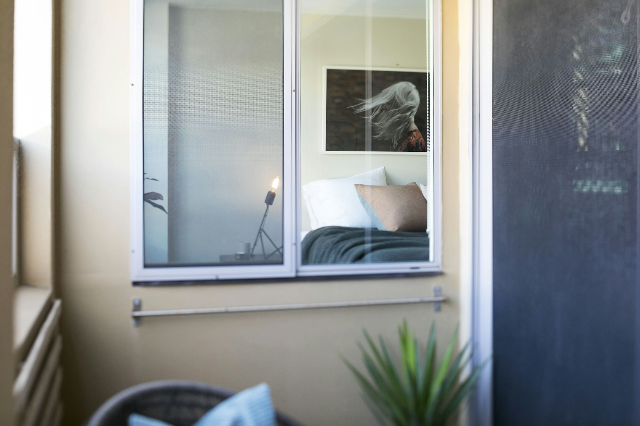 window