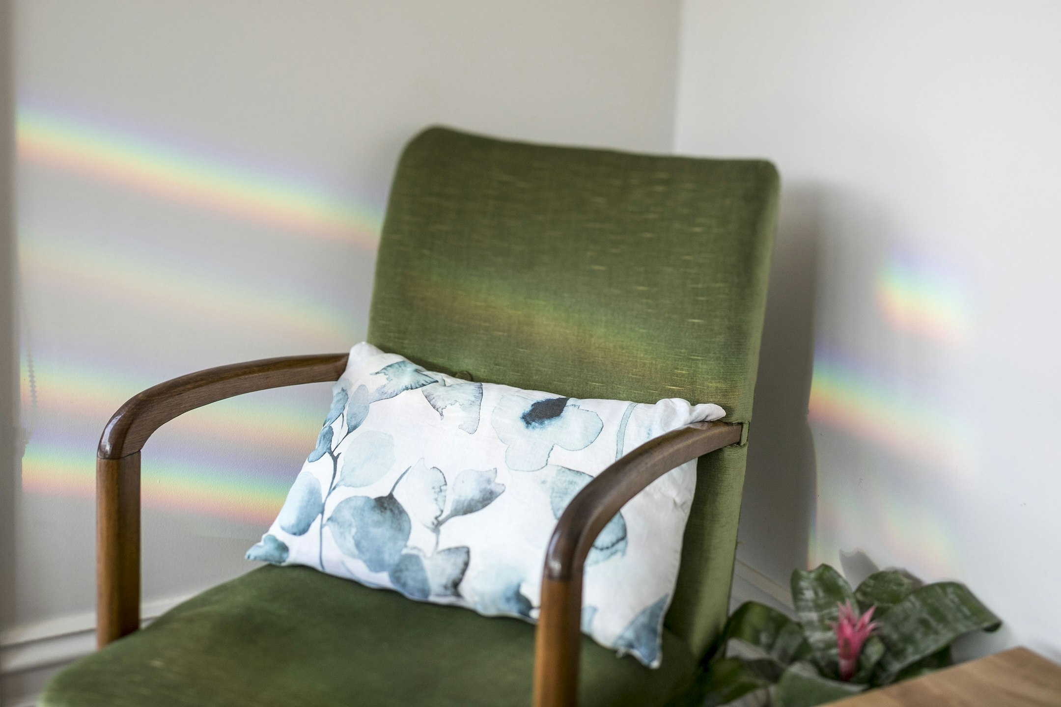 cushion