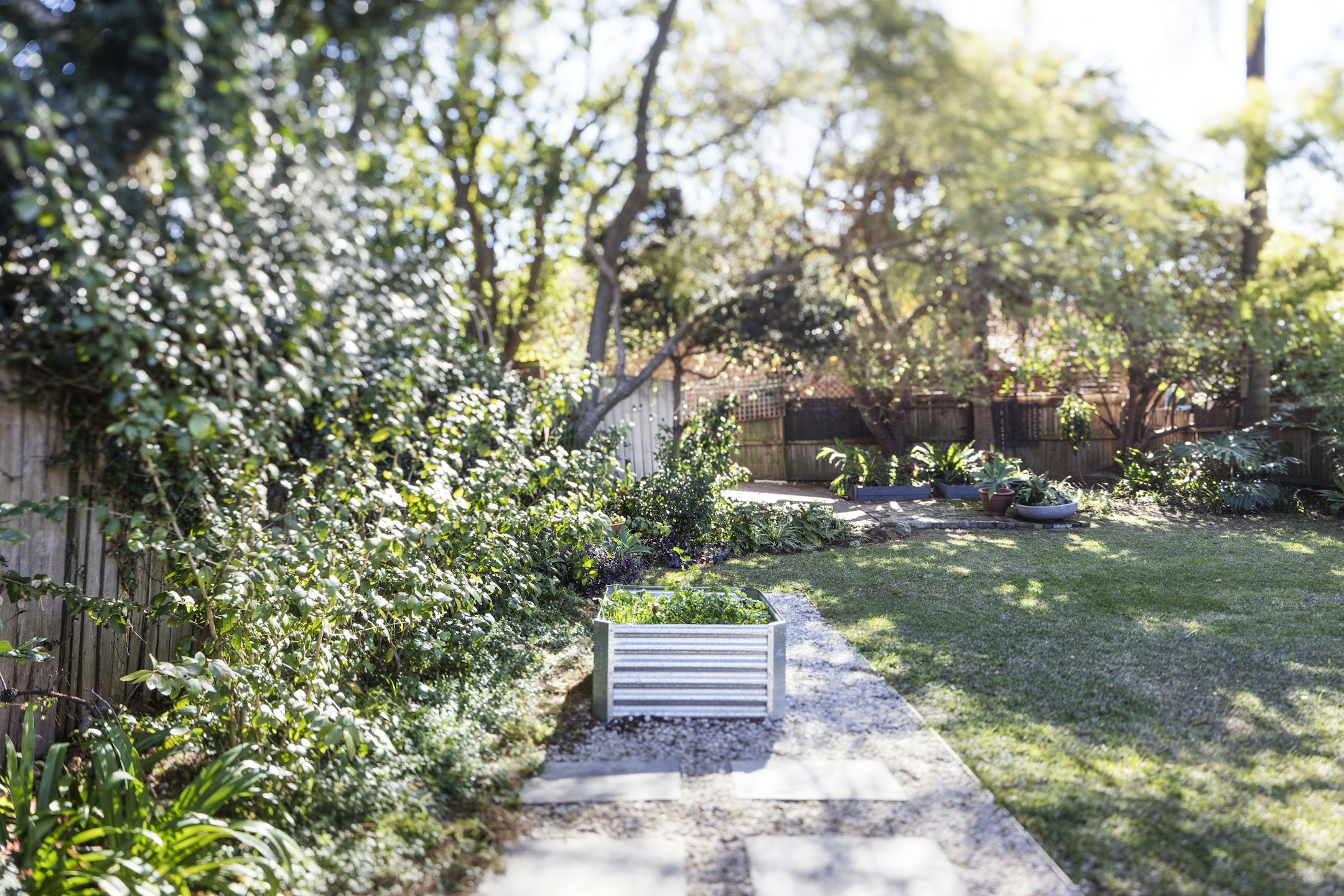 garden