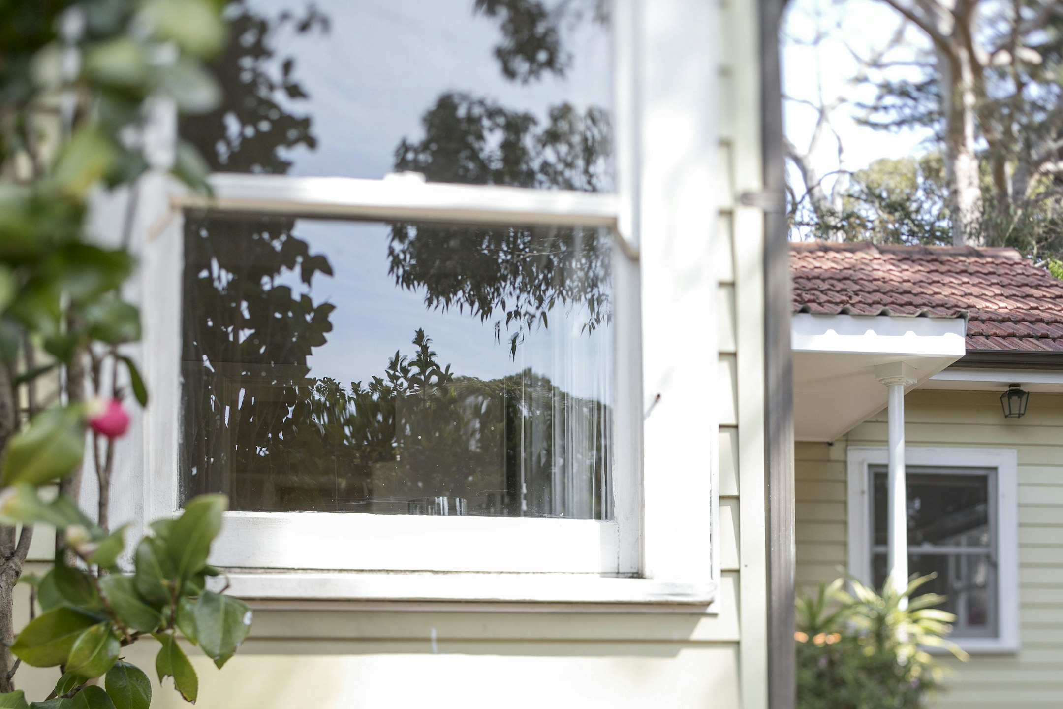 window