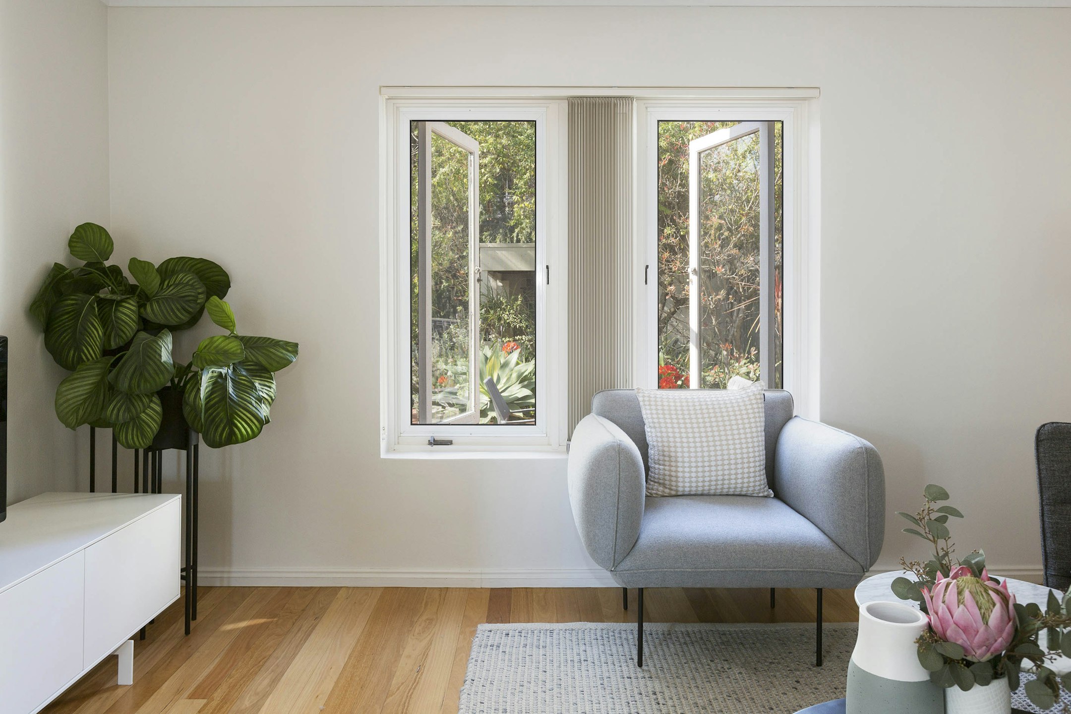window