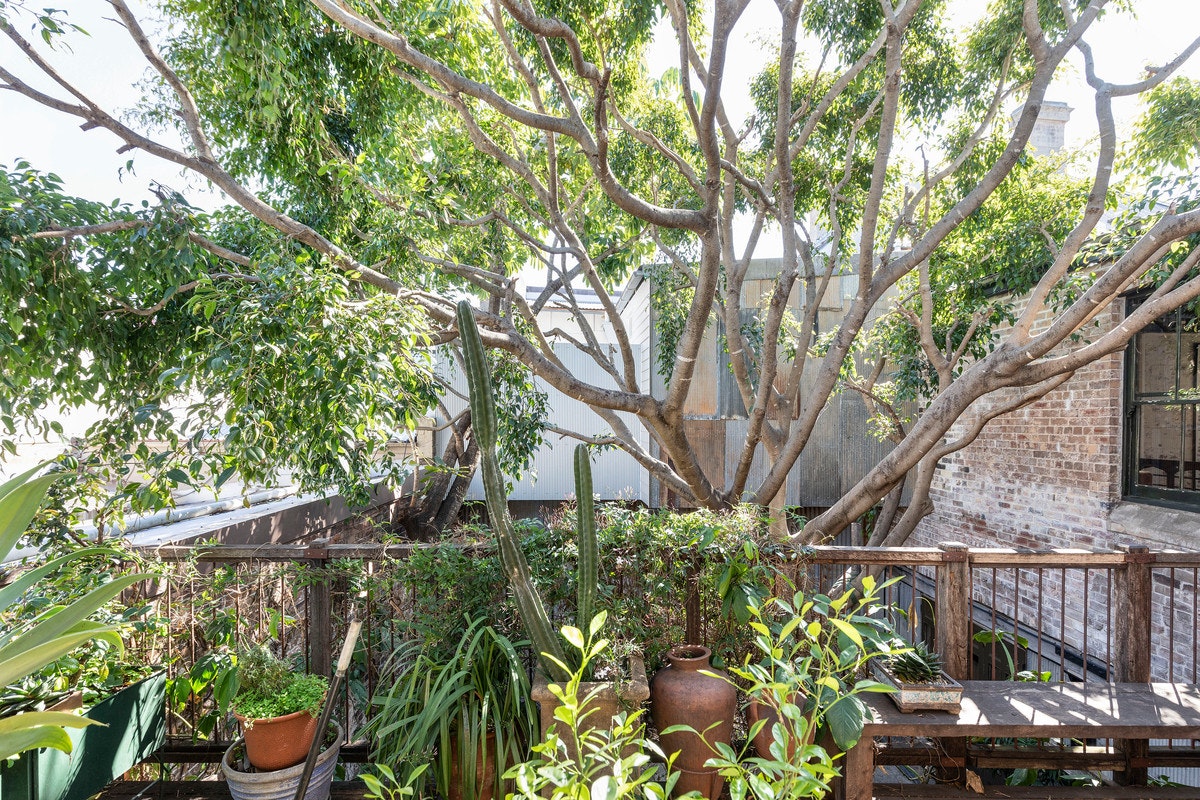 garden