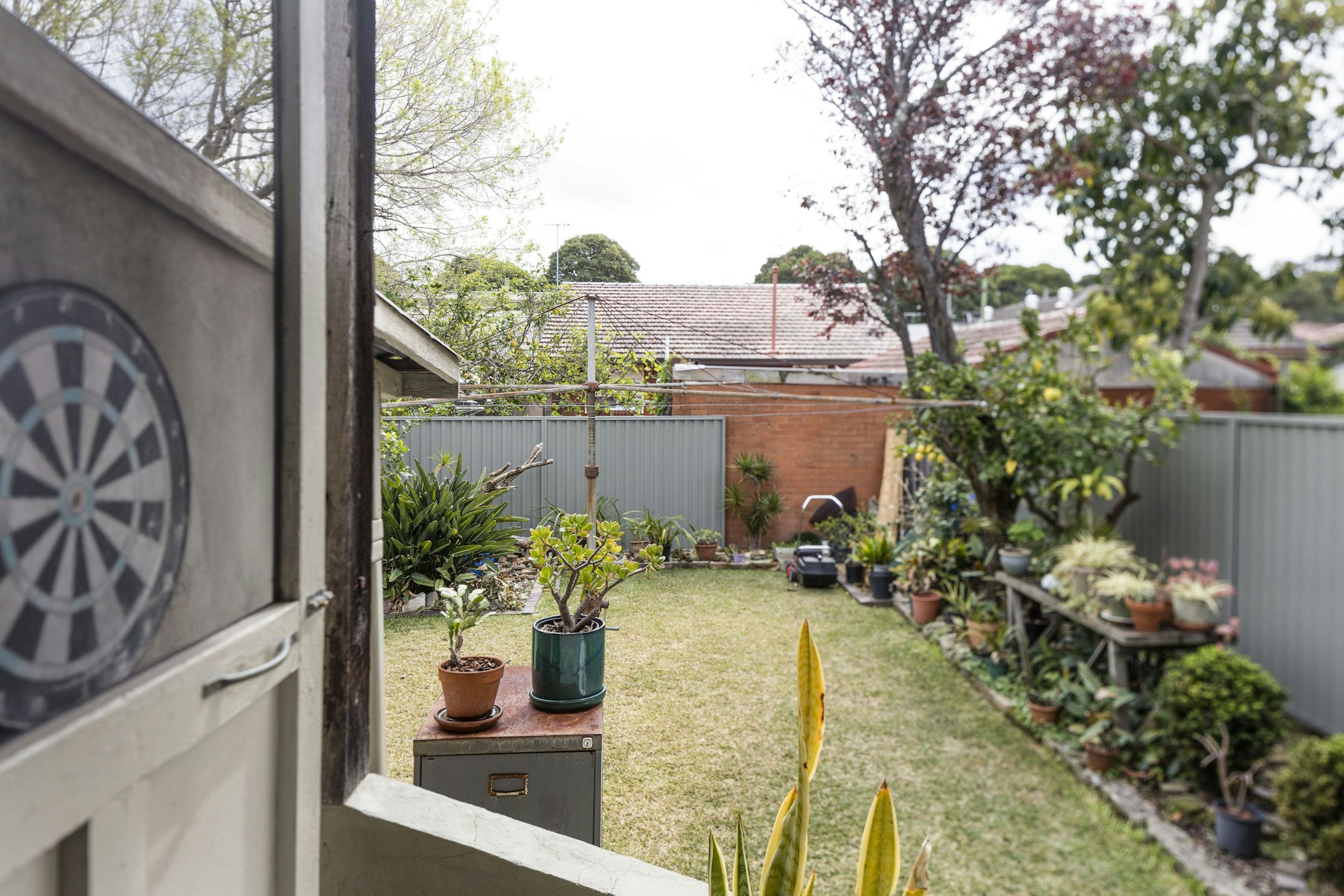 backyard