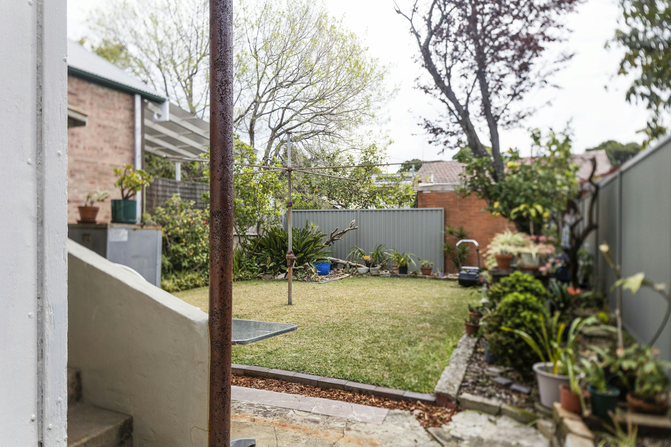 backyard