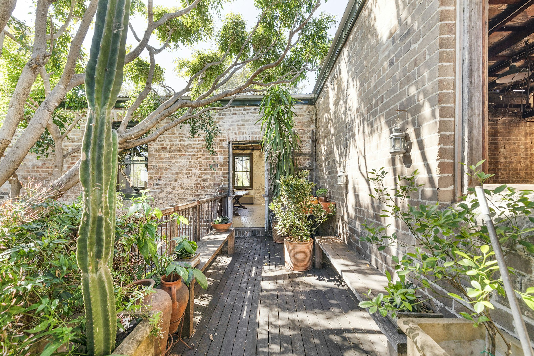 garden