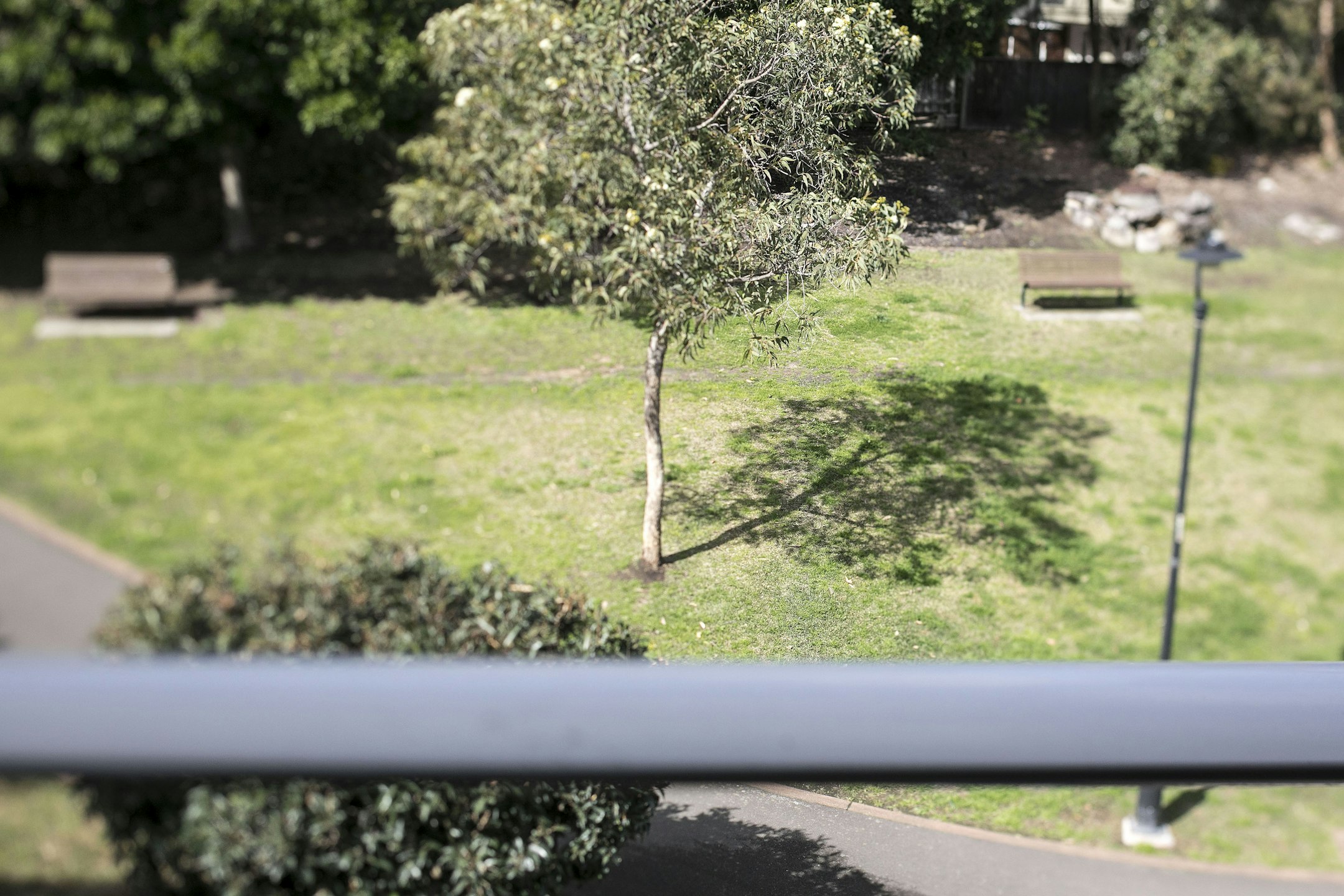 bench