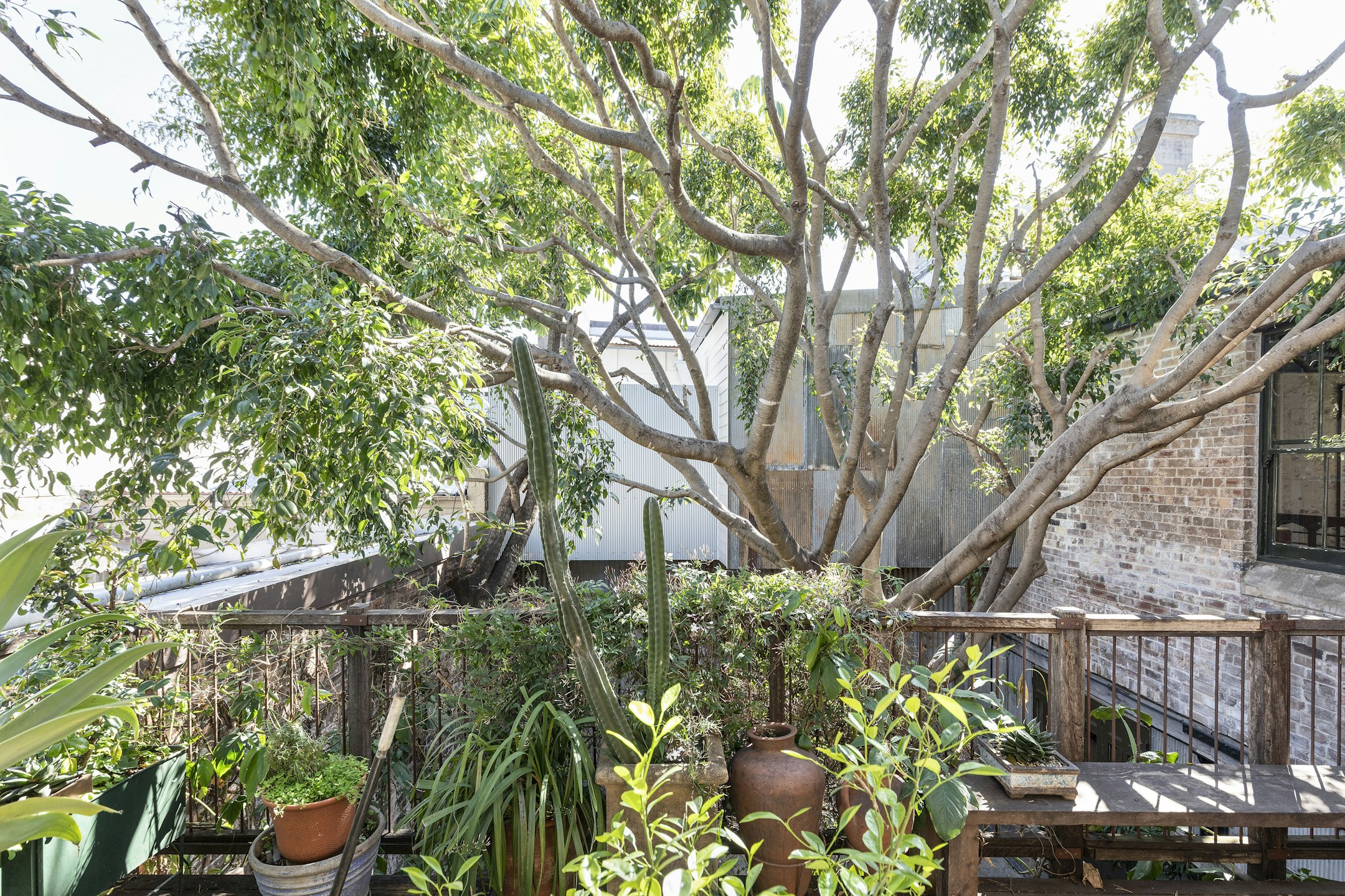 garden