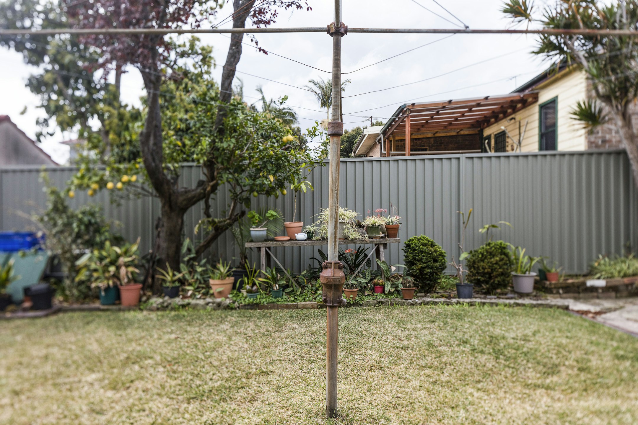 backyard
