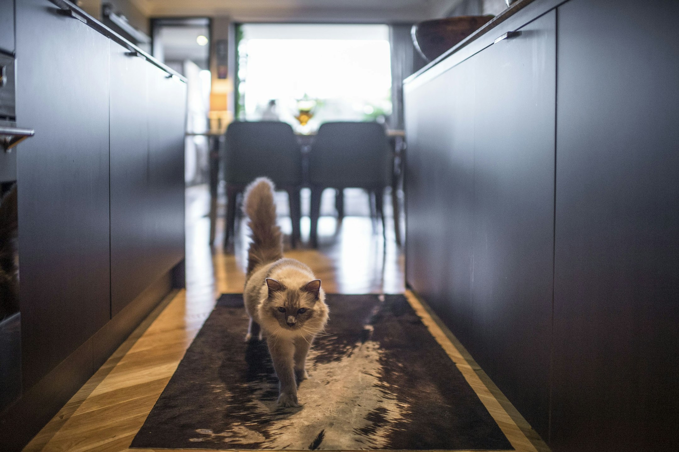 floor