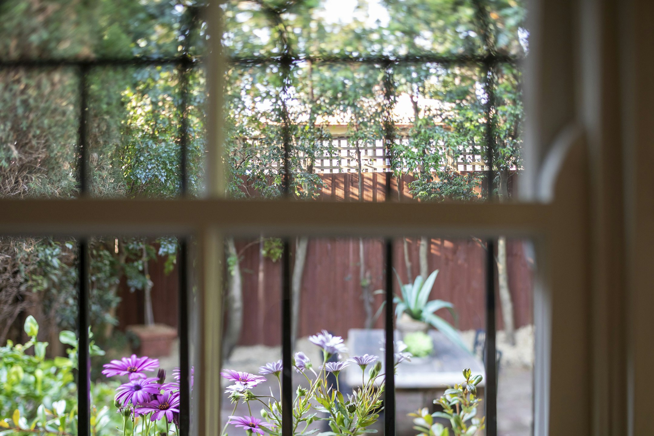 garden
