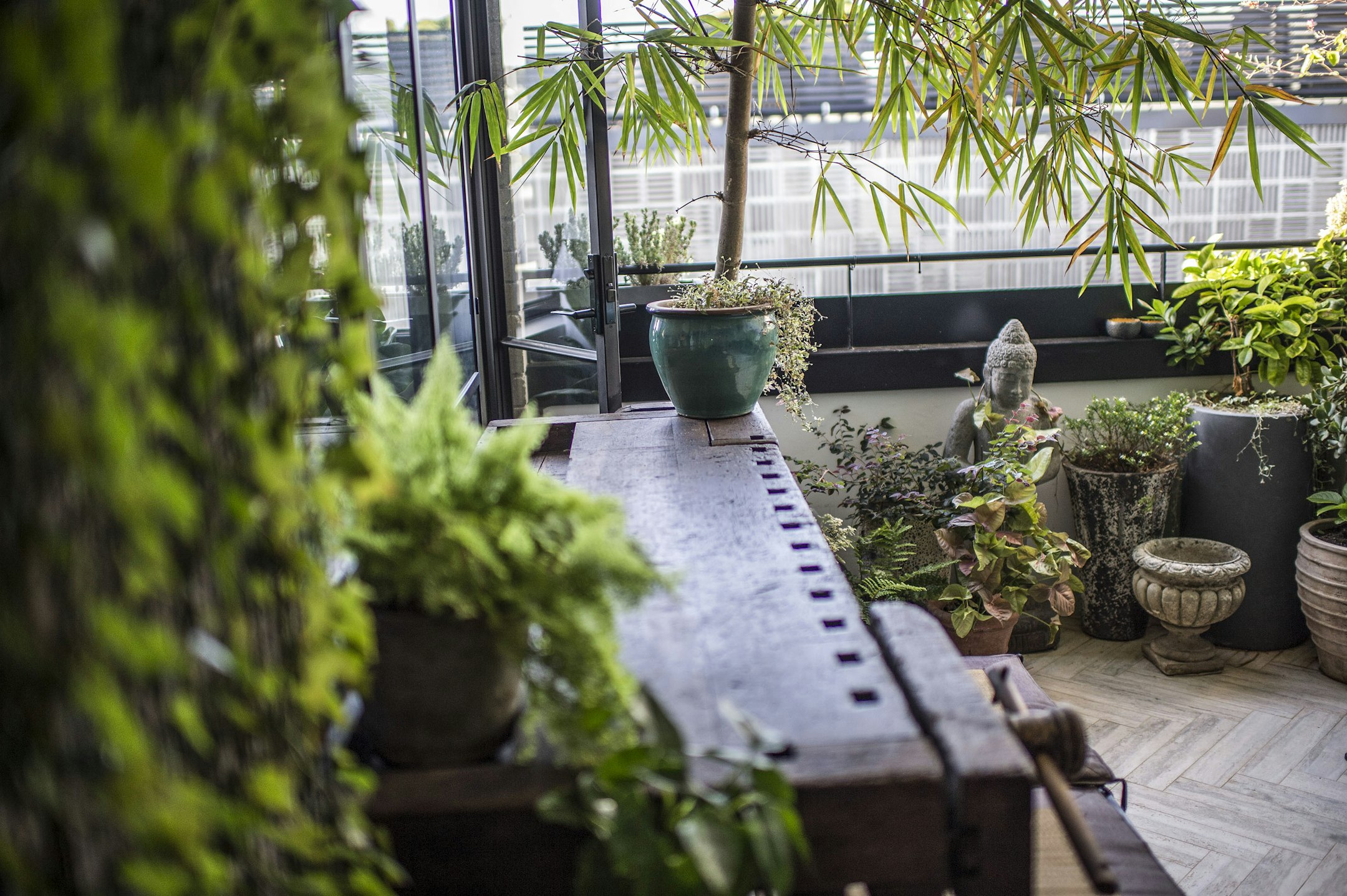 garden
