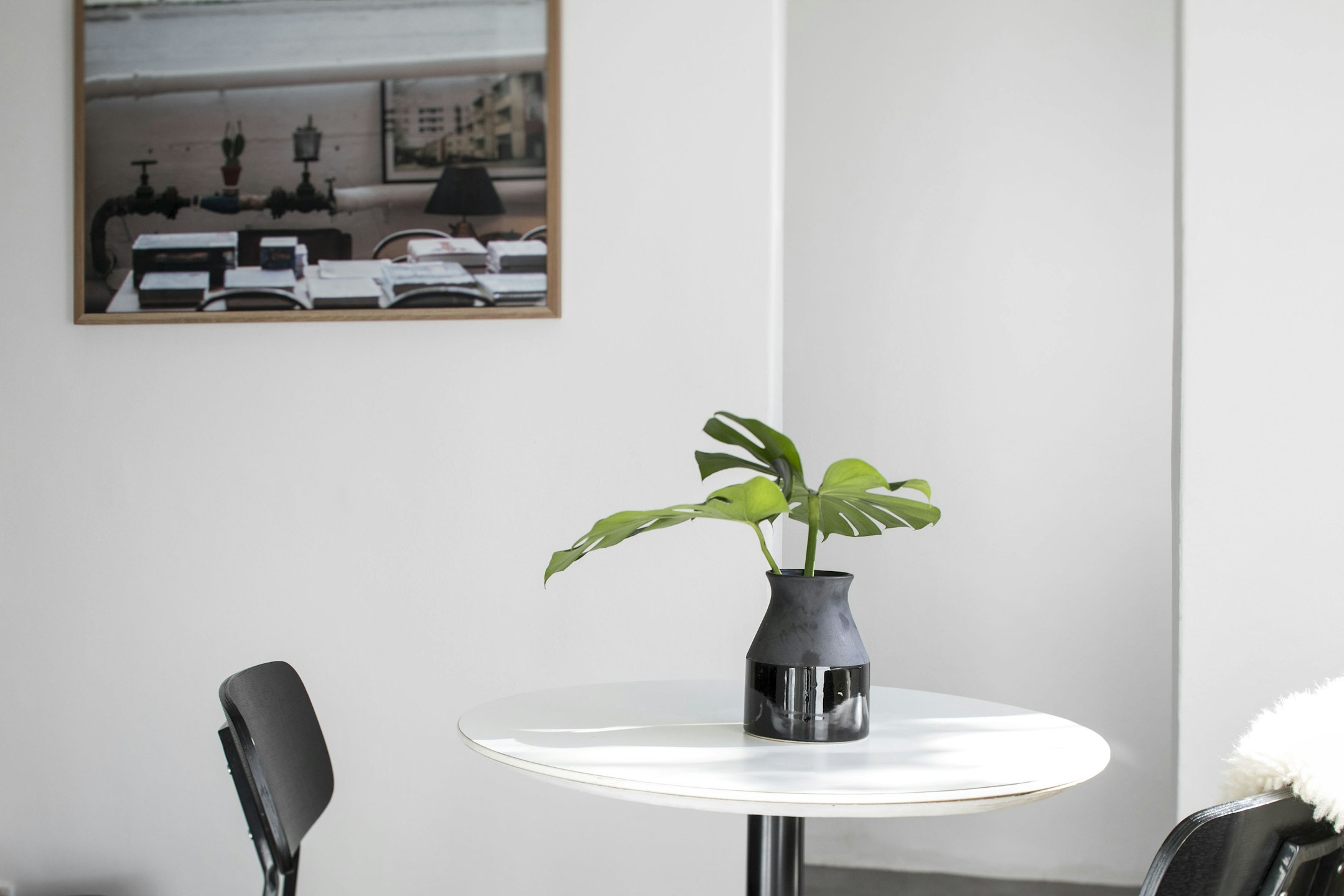 plant