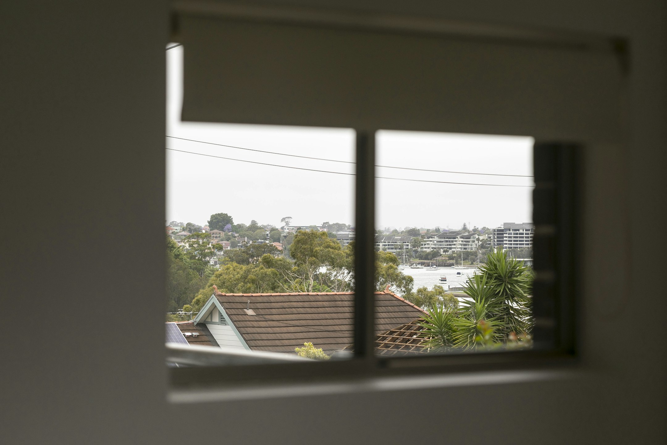 window