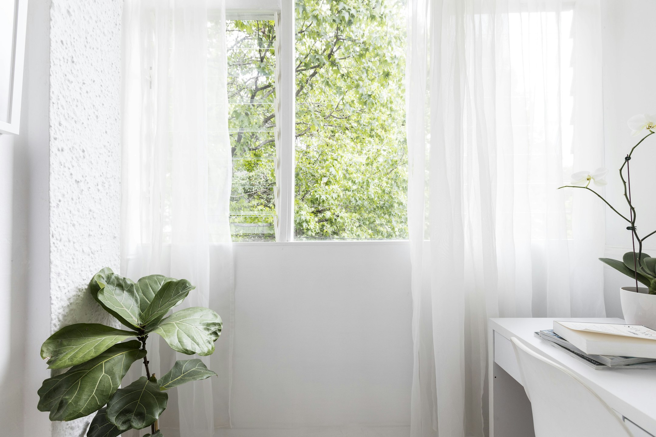window