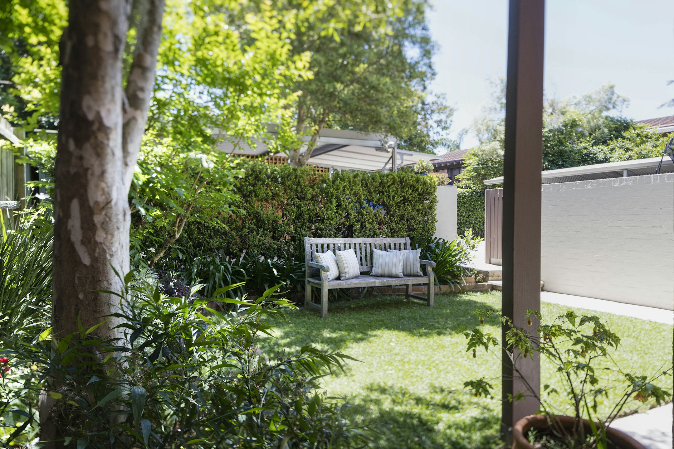 garden