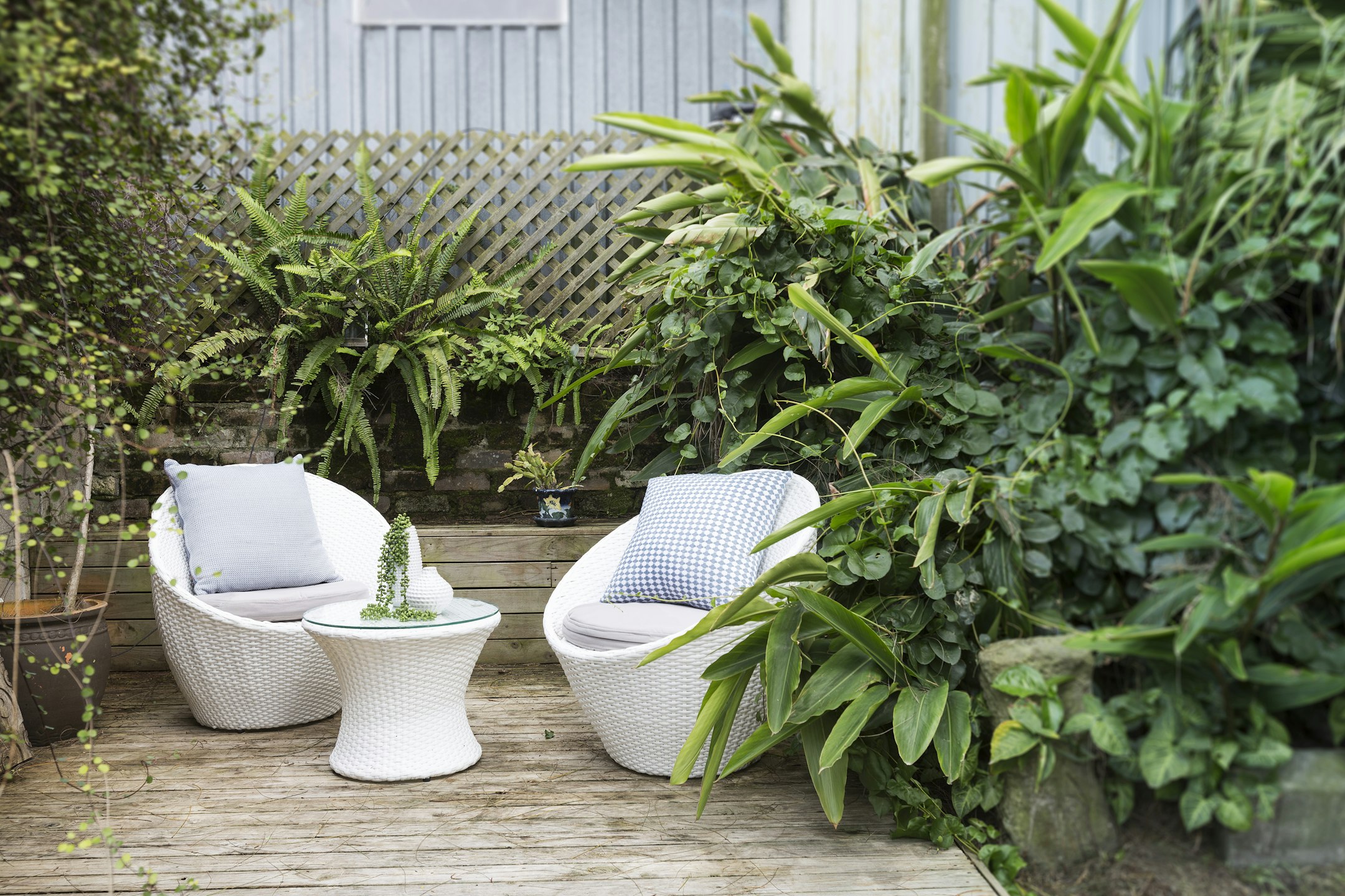 garden