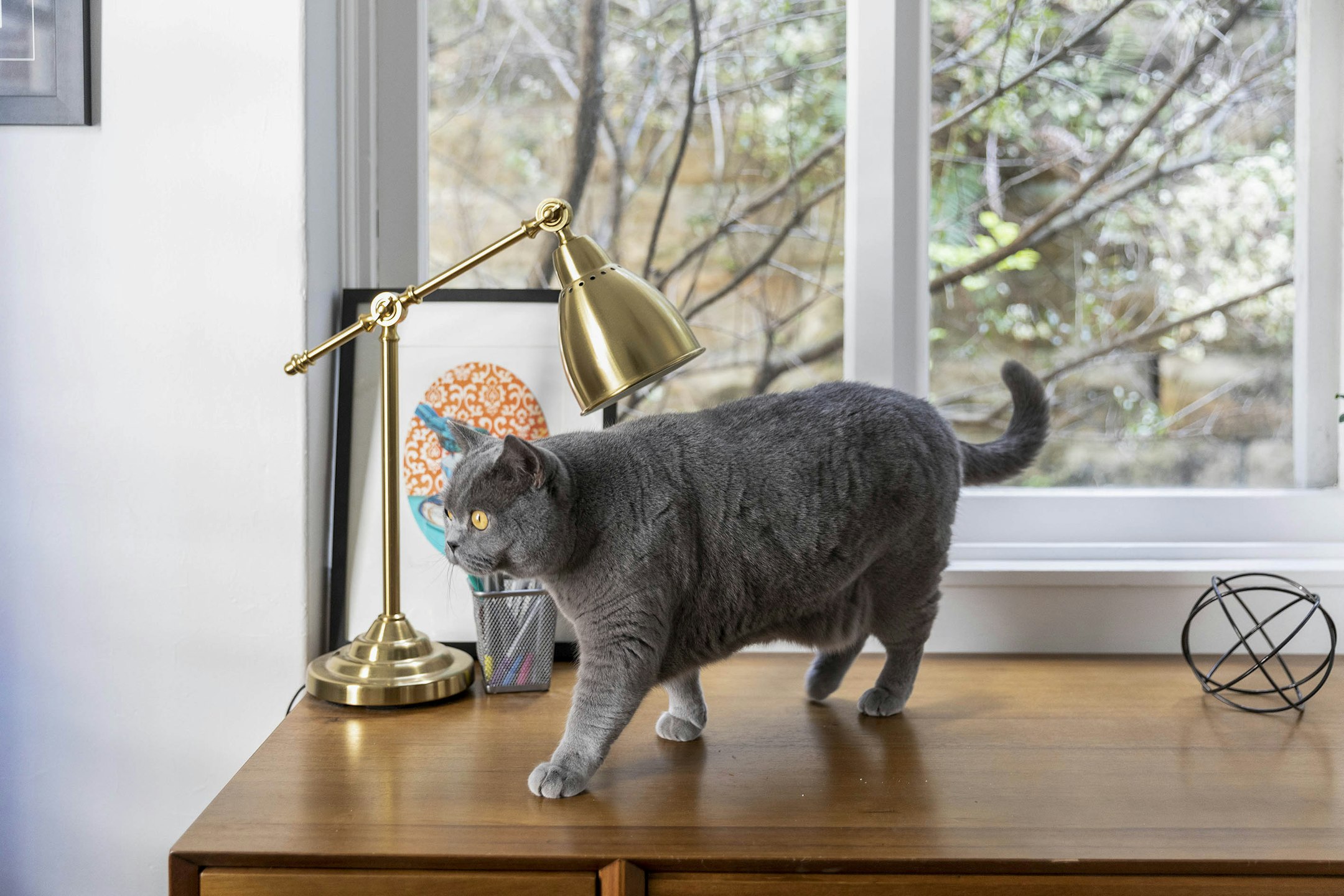 lamp