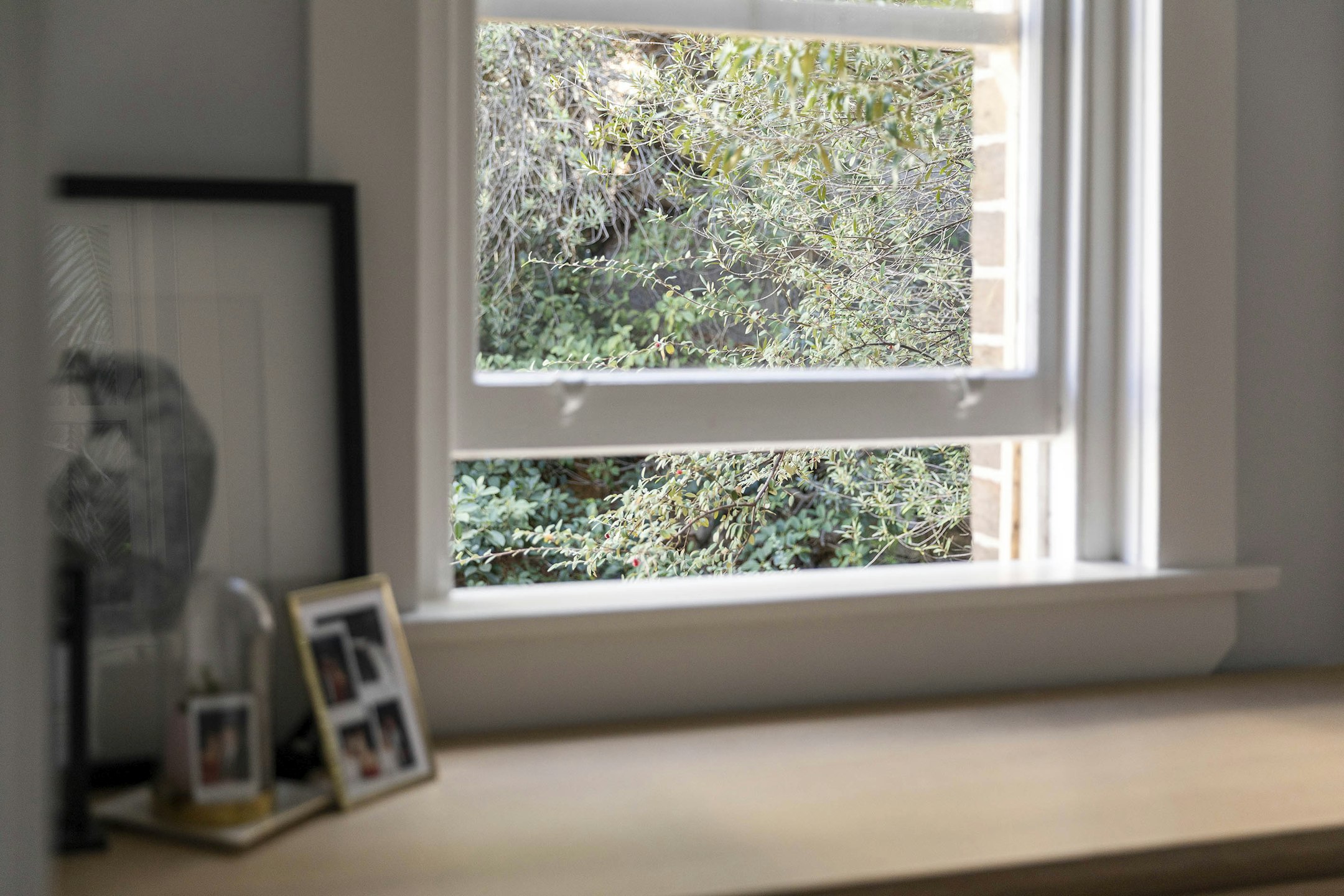 window