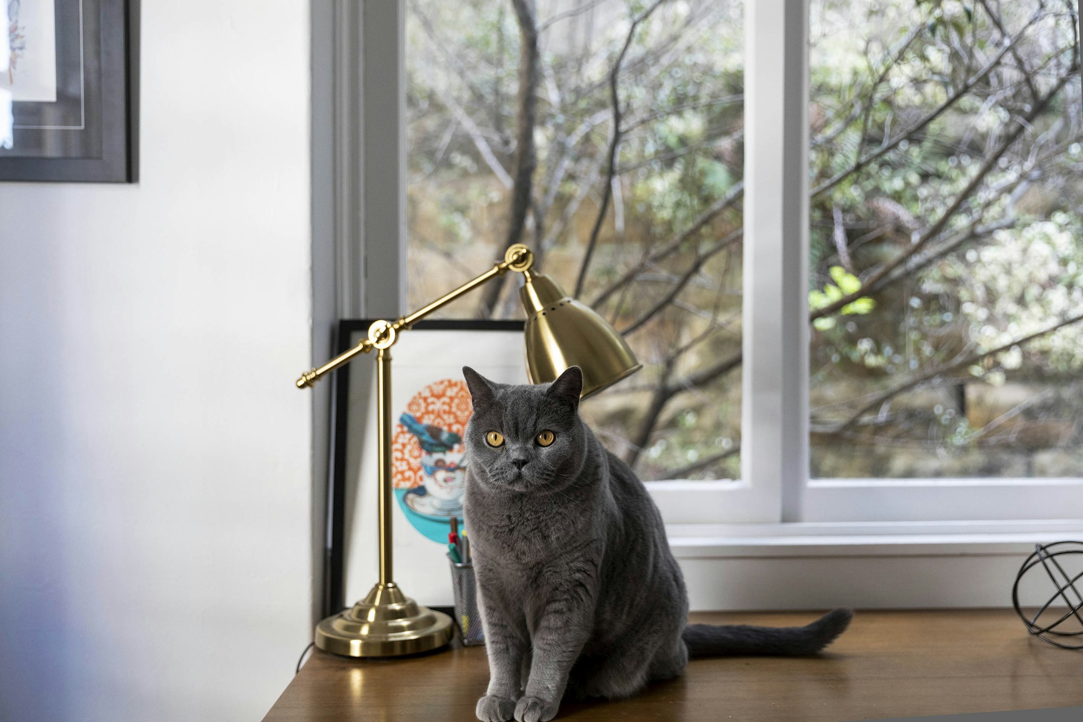 lamp