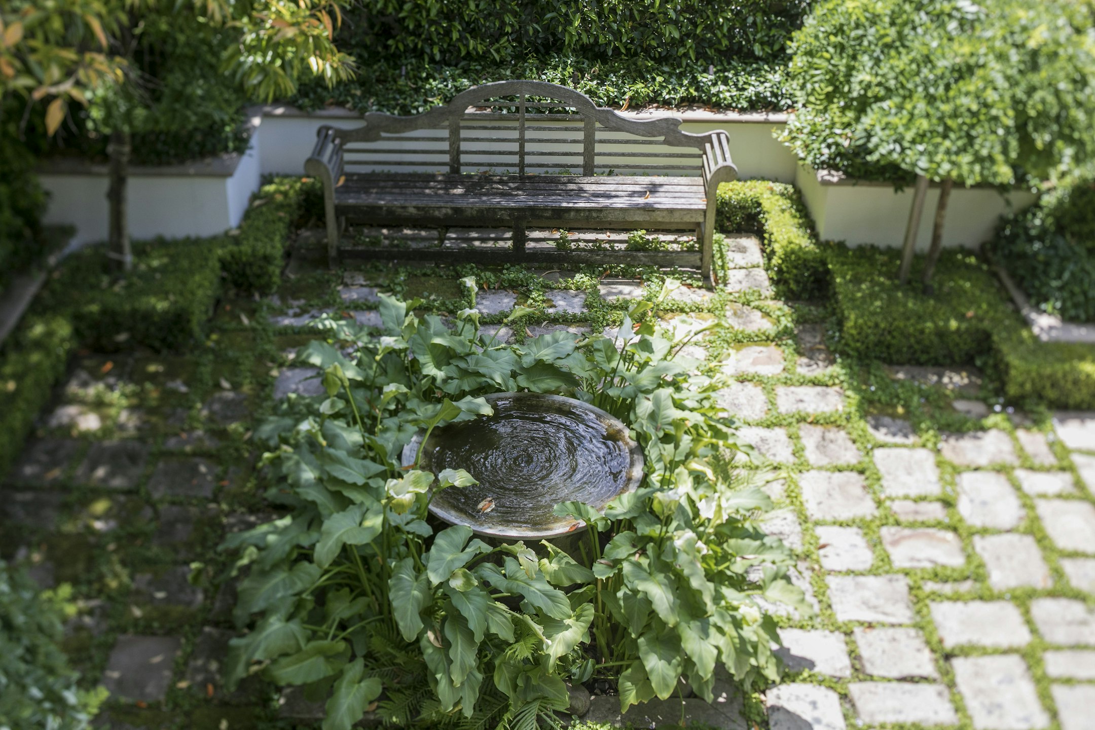 garden