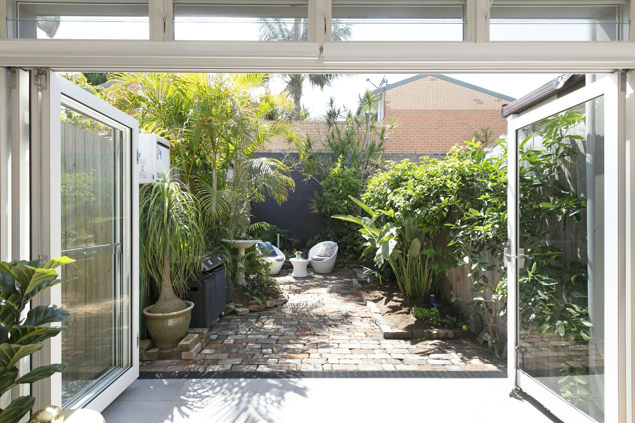 garden