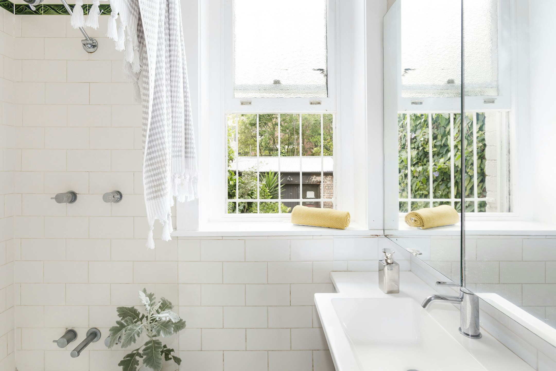 window