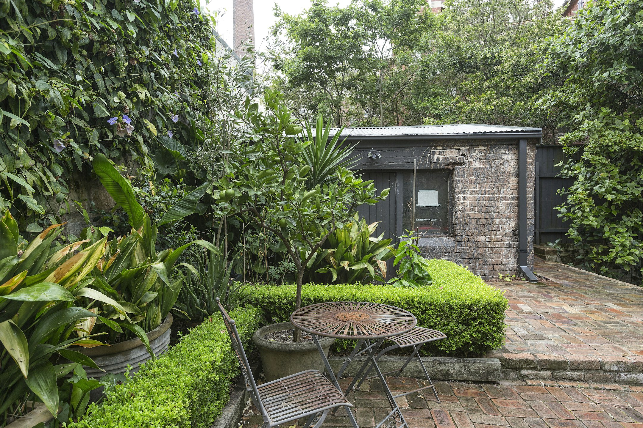 garden