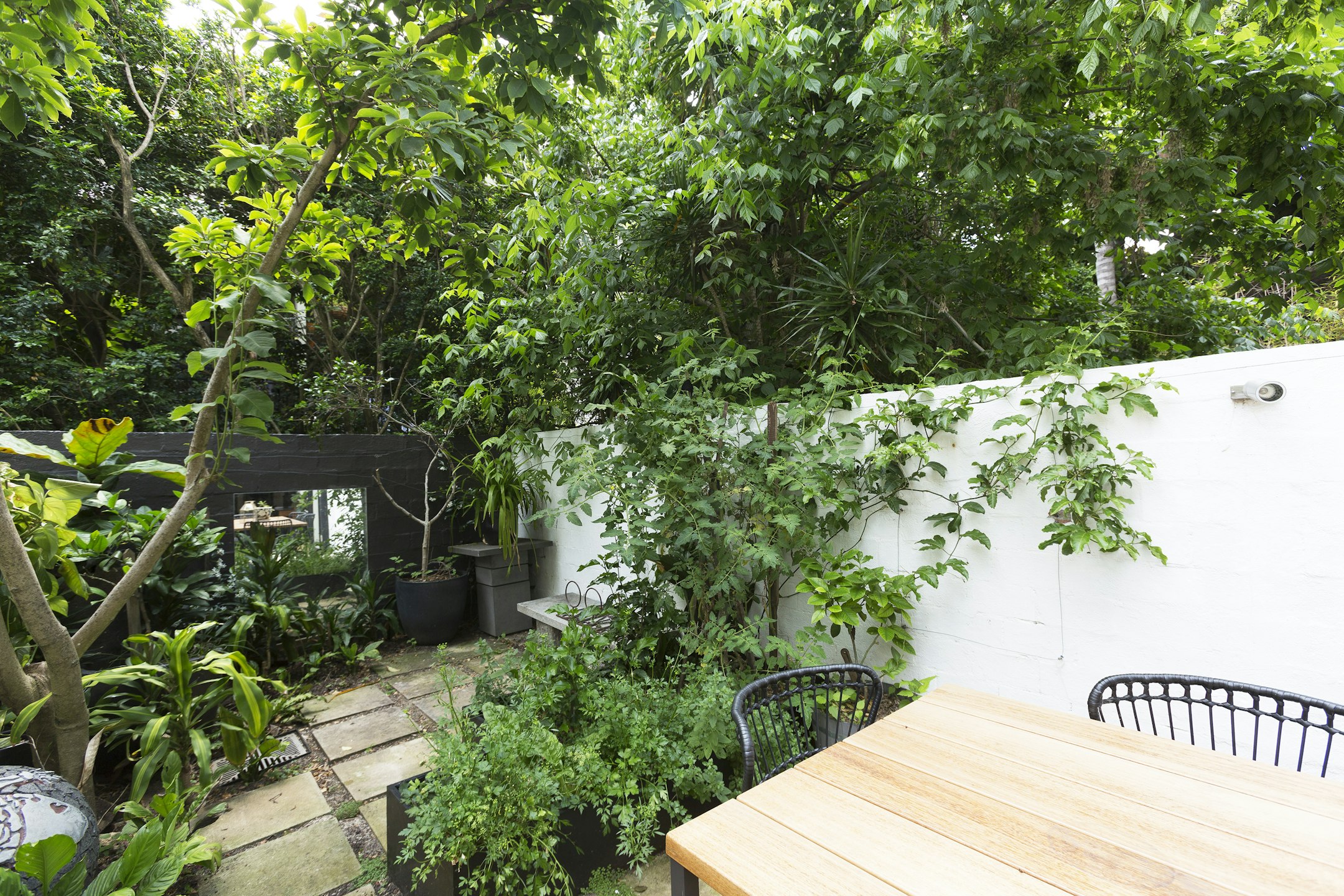garden