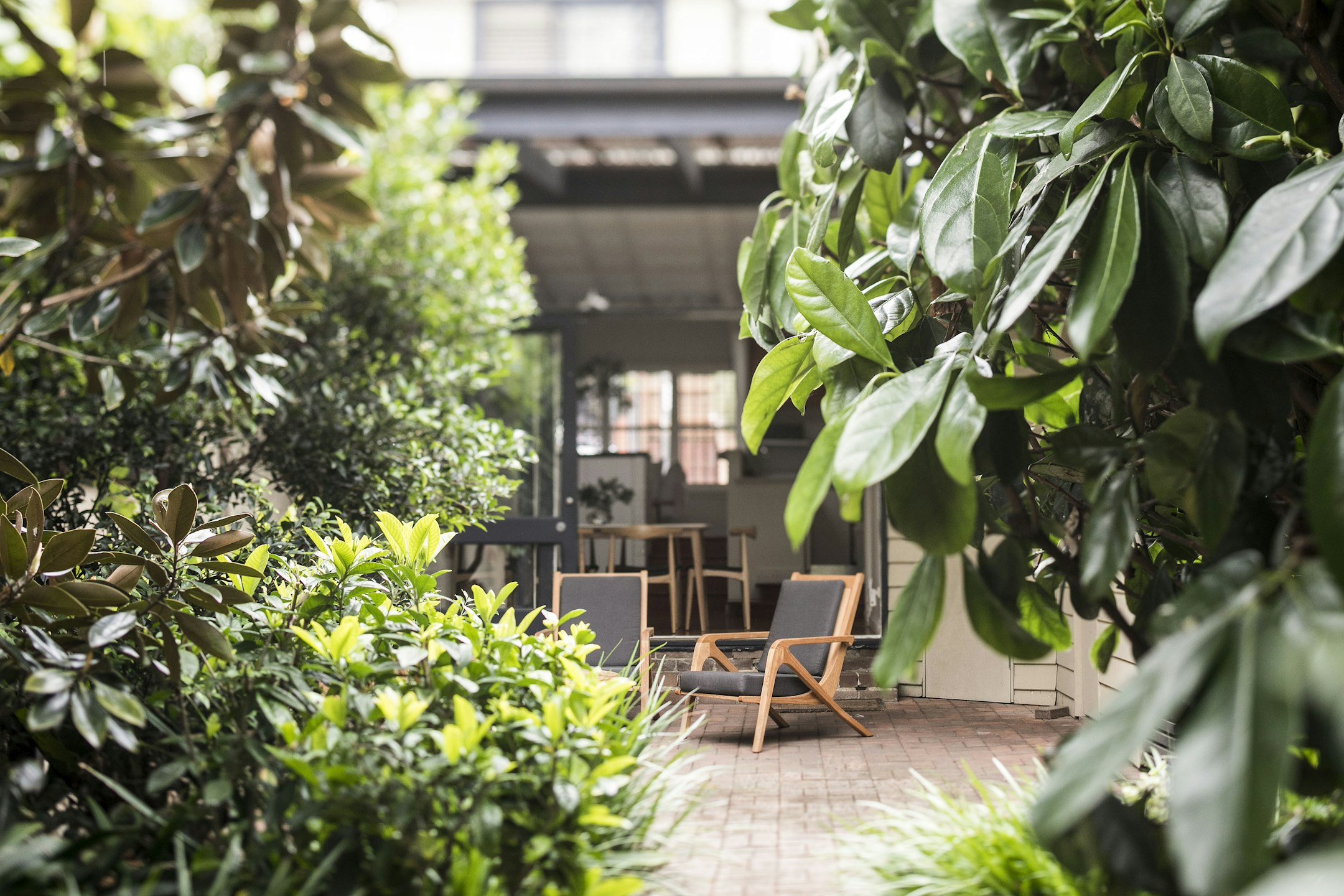 garden