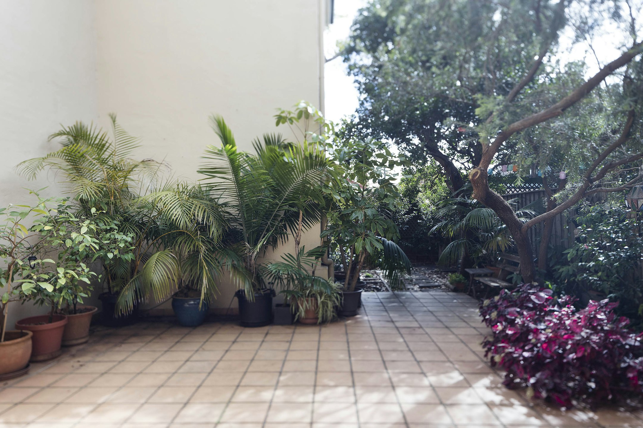 garden