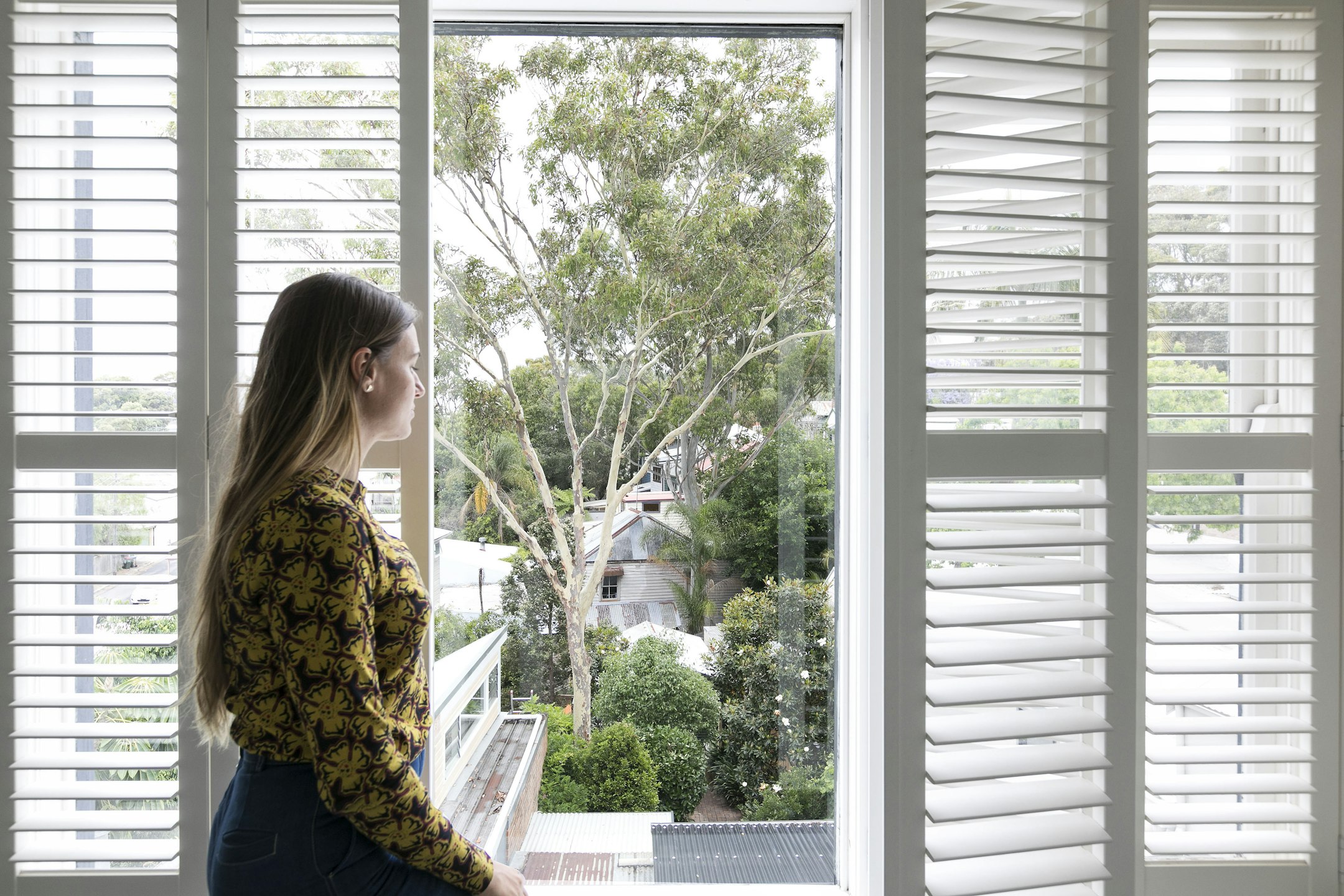 window