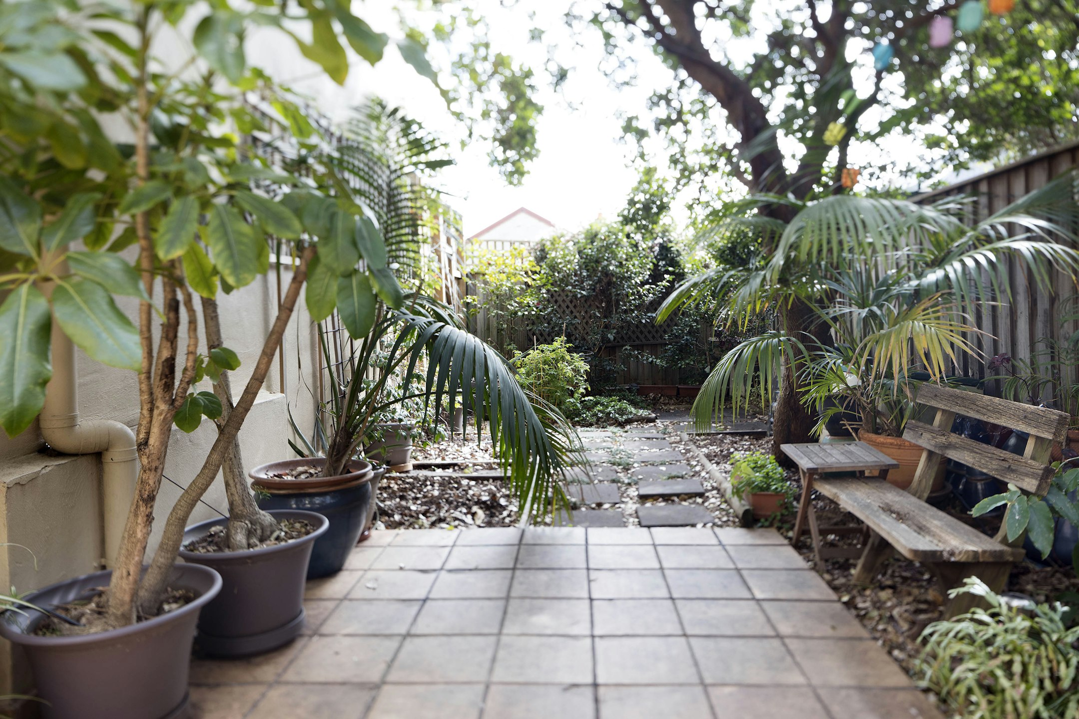 garden