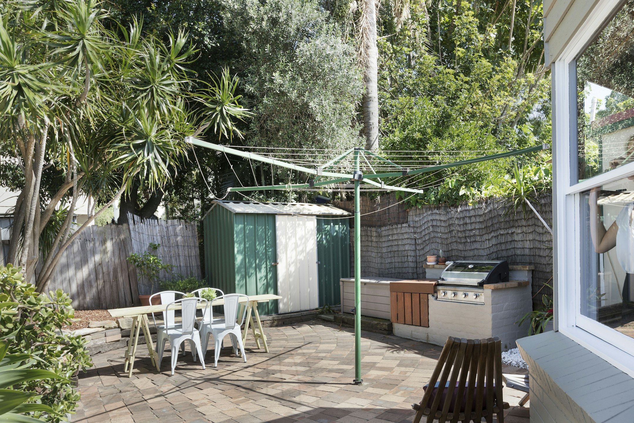 backyard