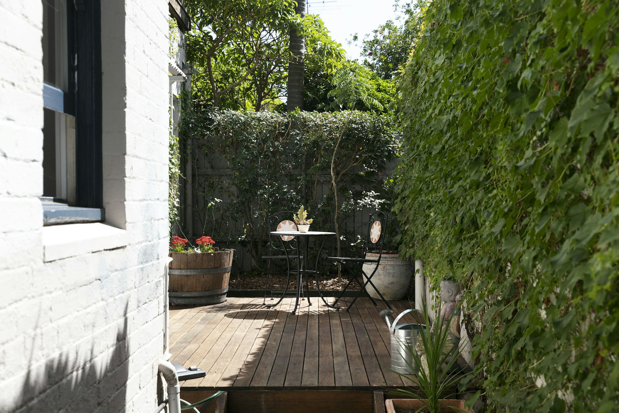 garden