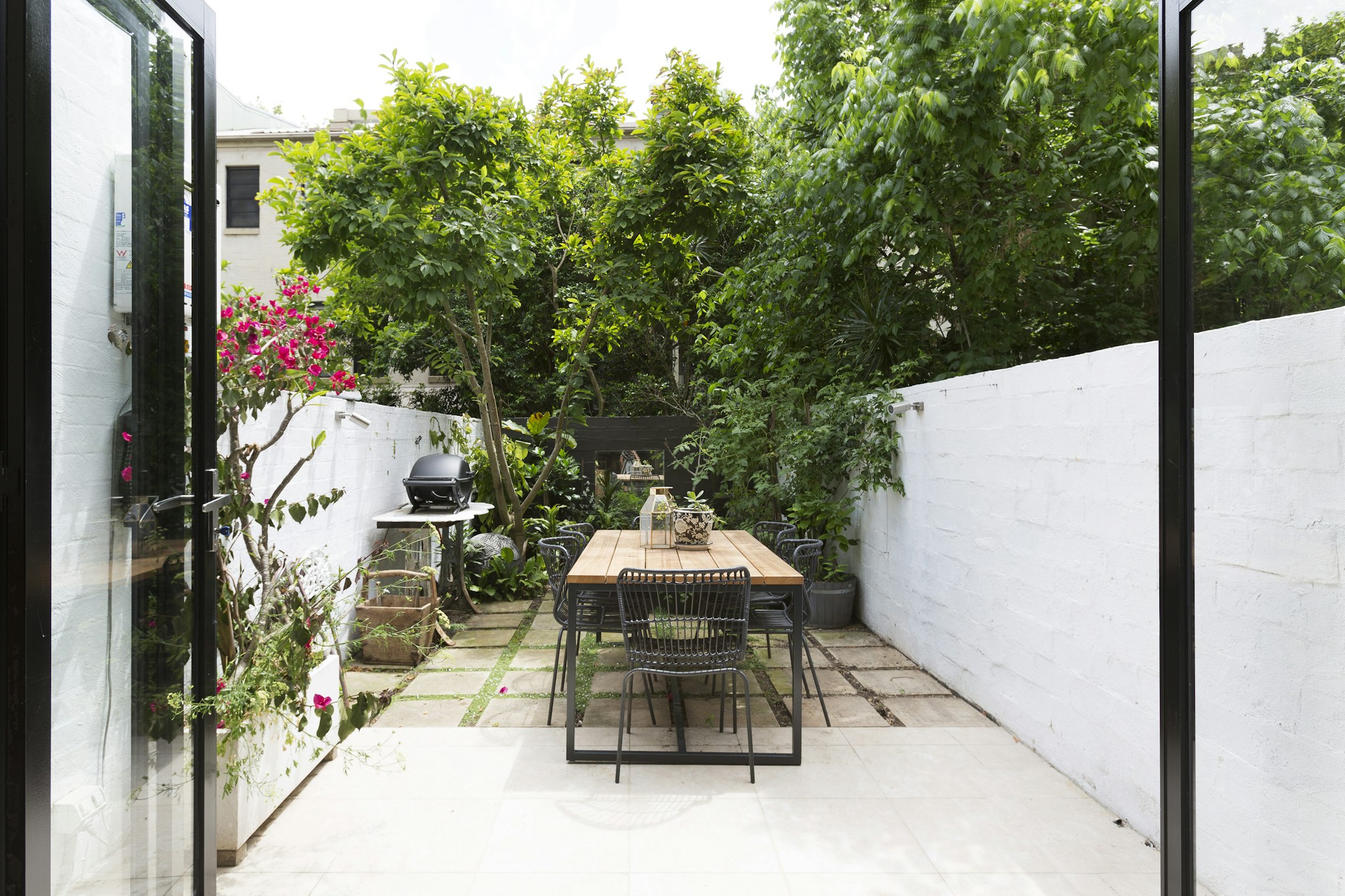 garden