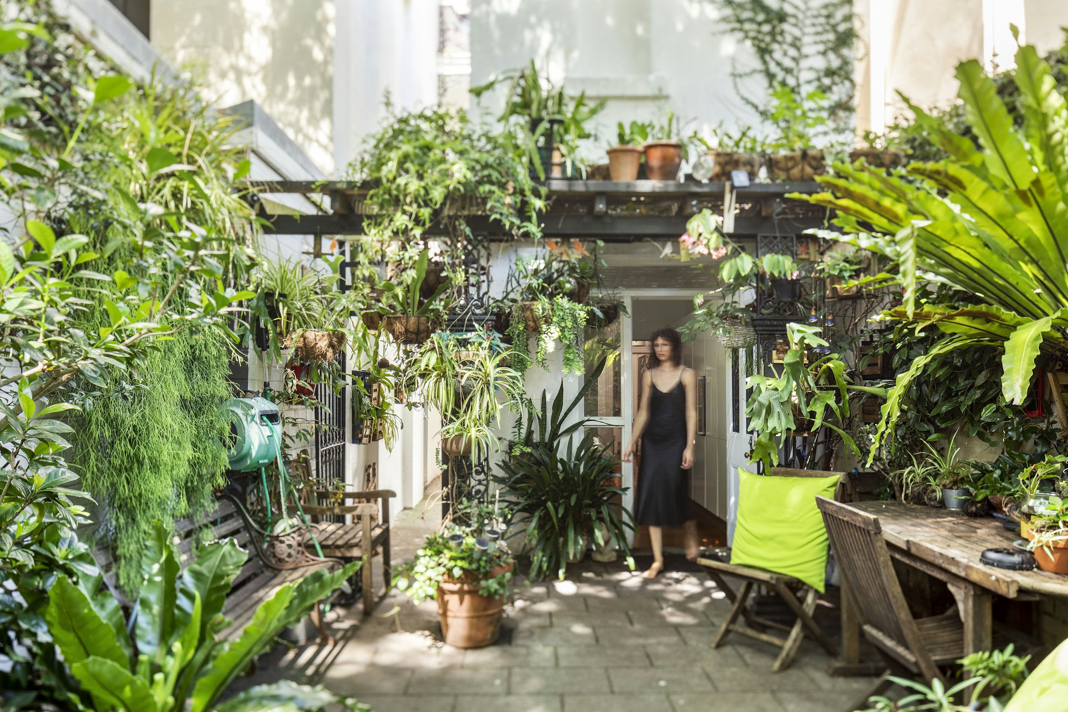 garden