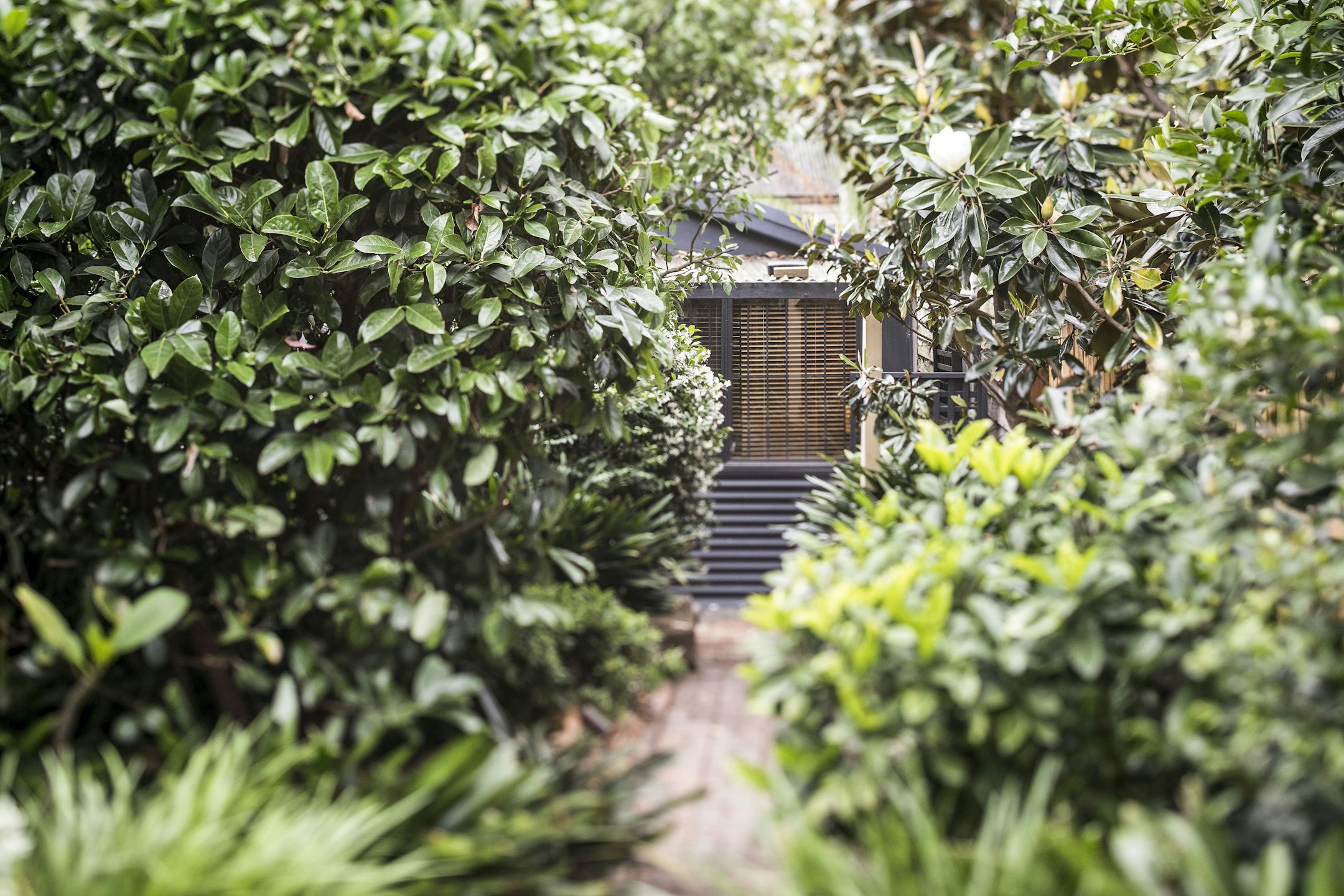 garden