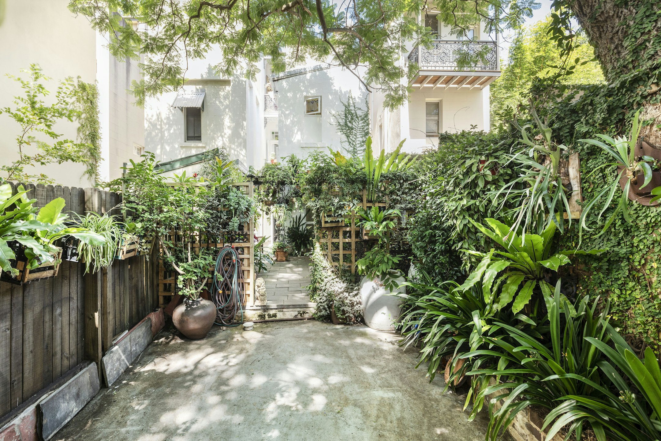 garden