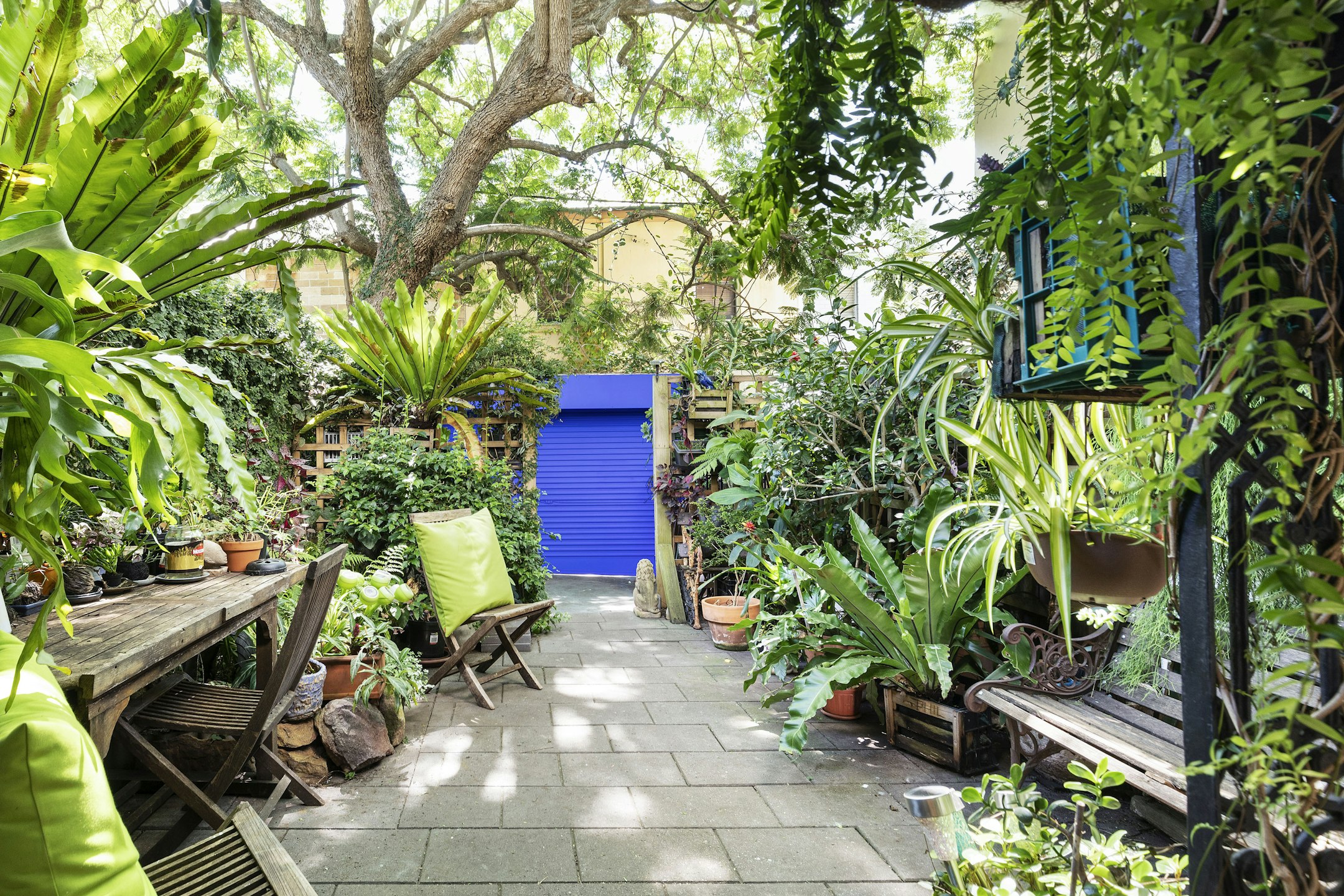 garden