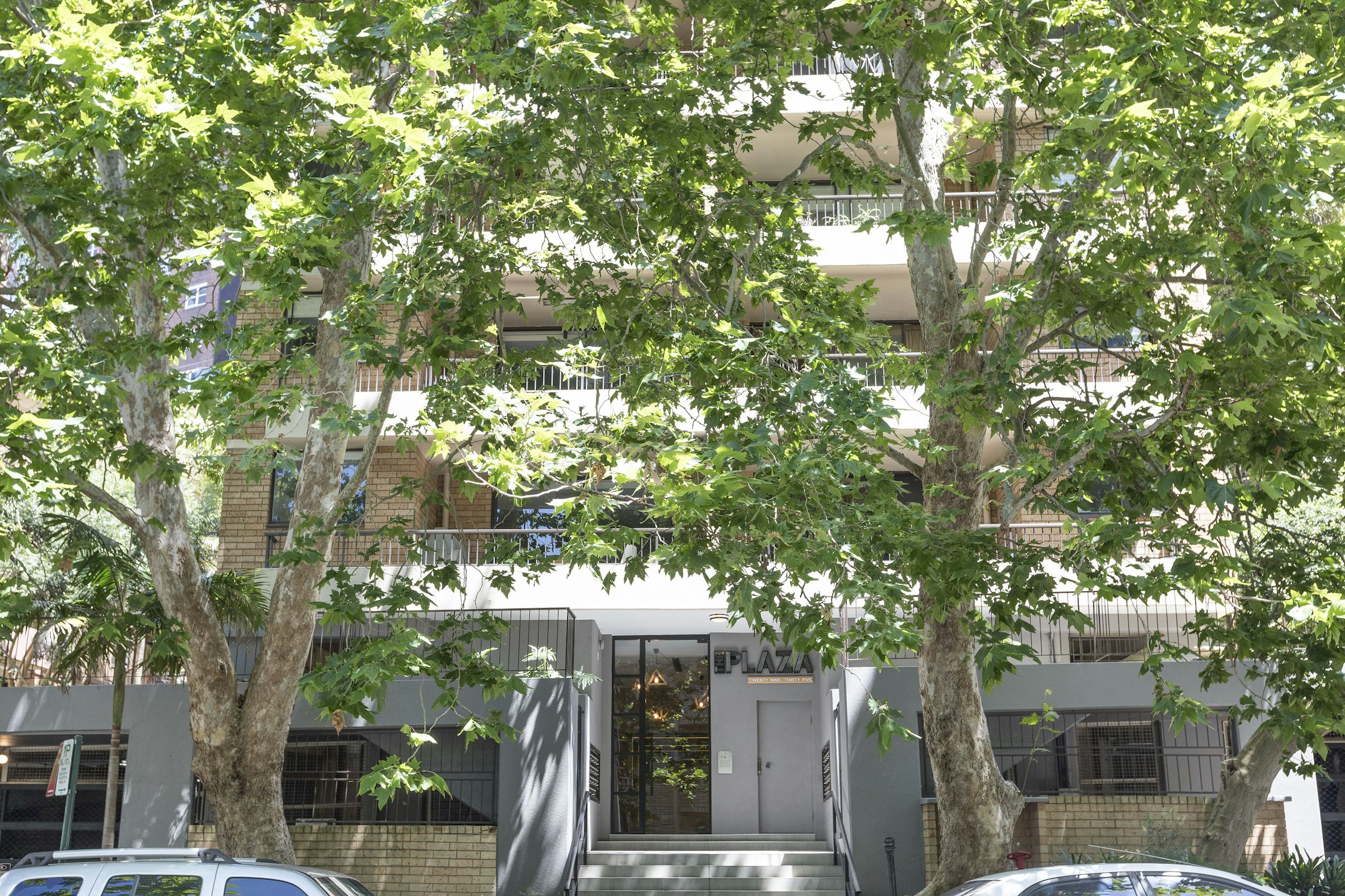 tree