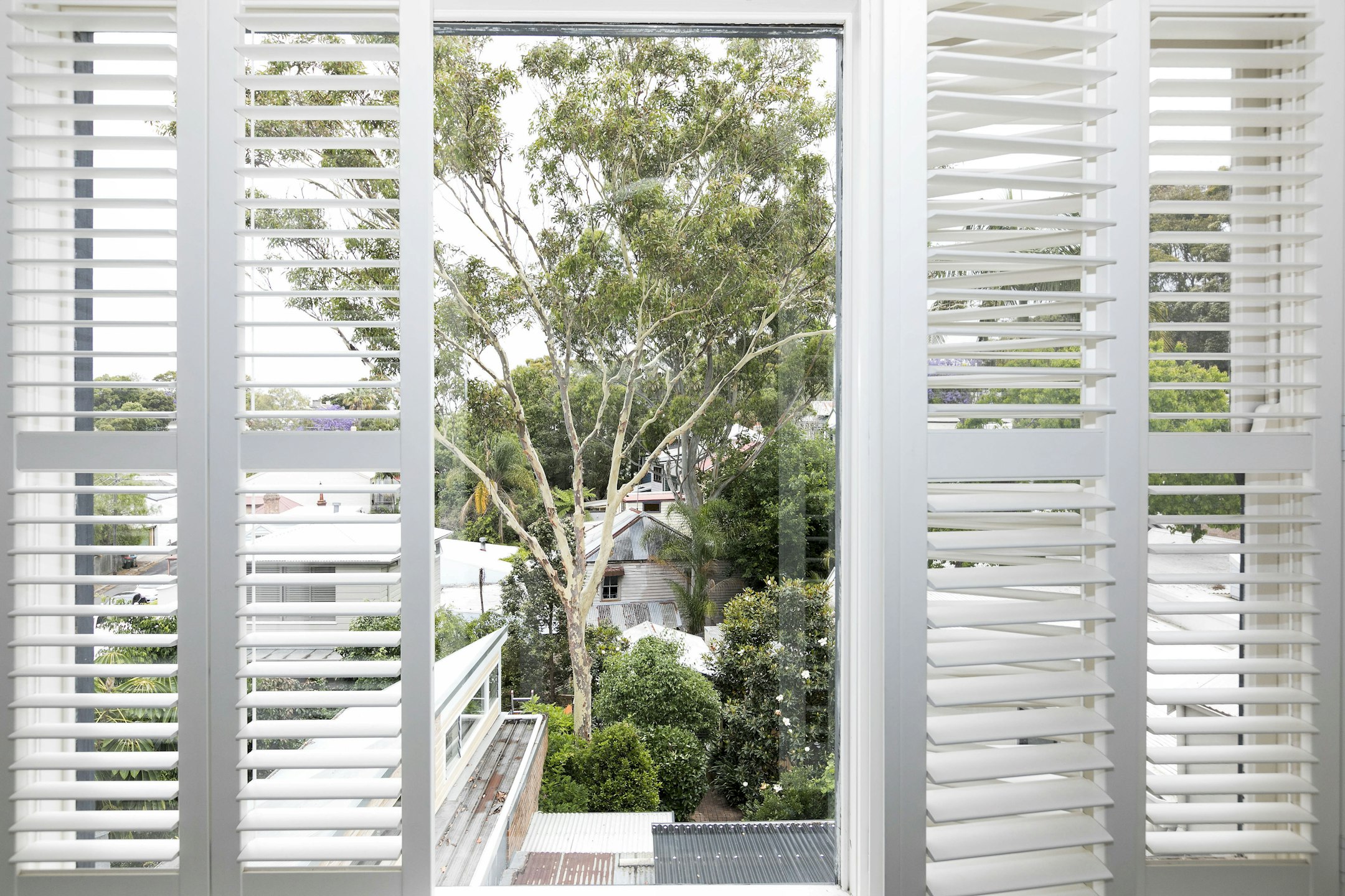 window